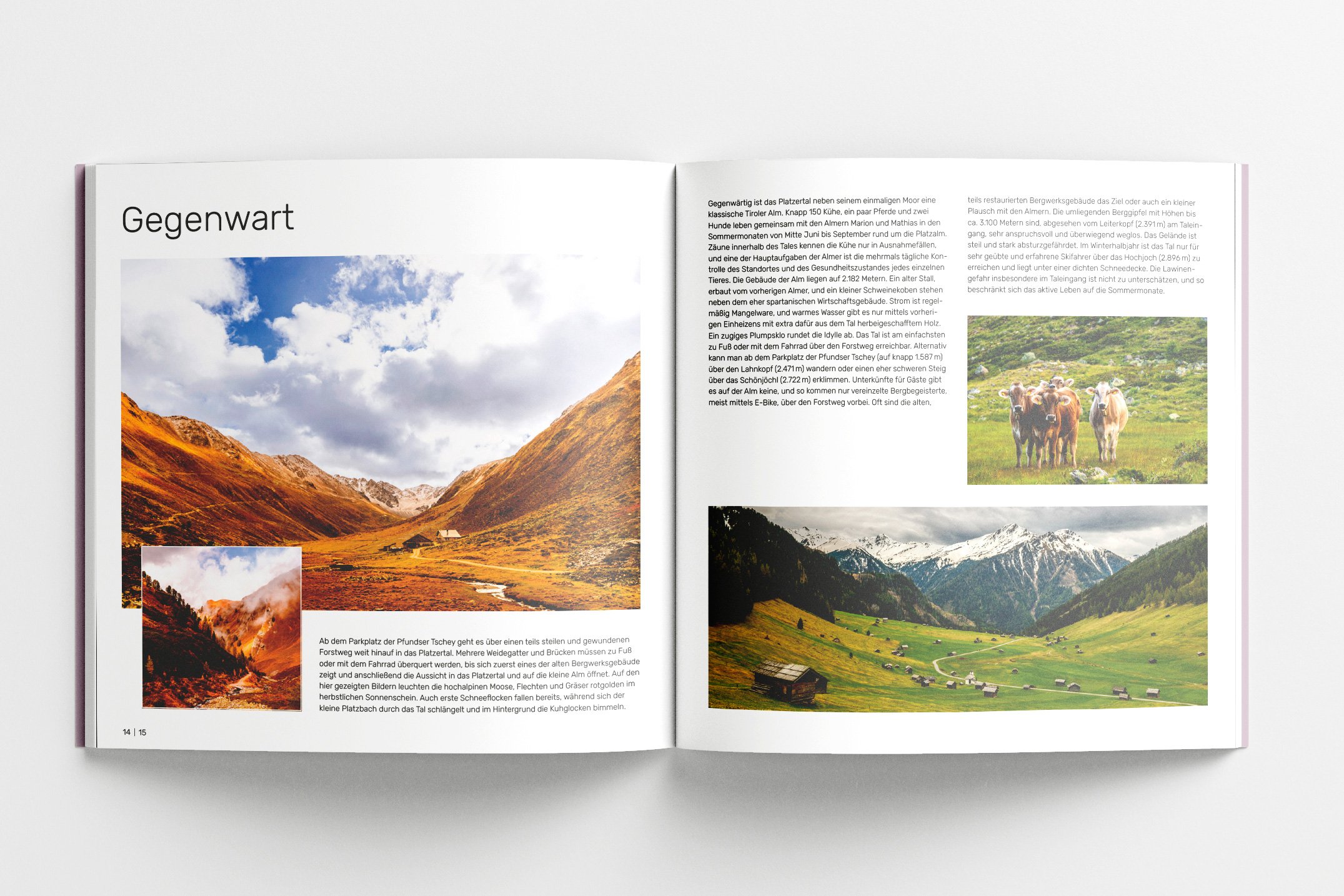 SF_Buch_Platzertal__Mockup_2_1.jpg