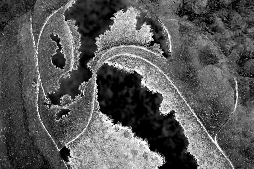 "Der Handkuss" Eis am Ufer der Isar in den Isarauen, in Form eines Kopfes, der eine dargebotene Hand küsst...