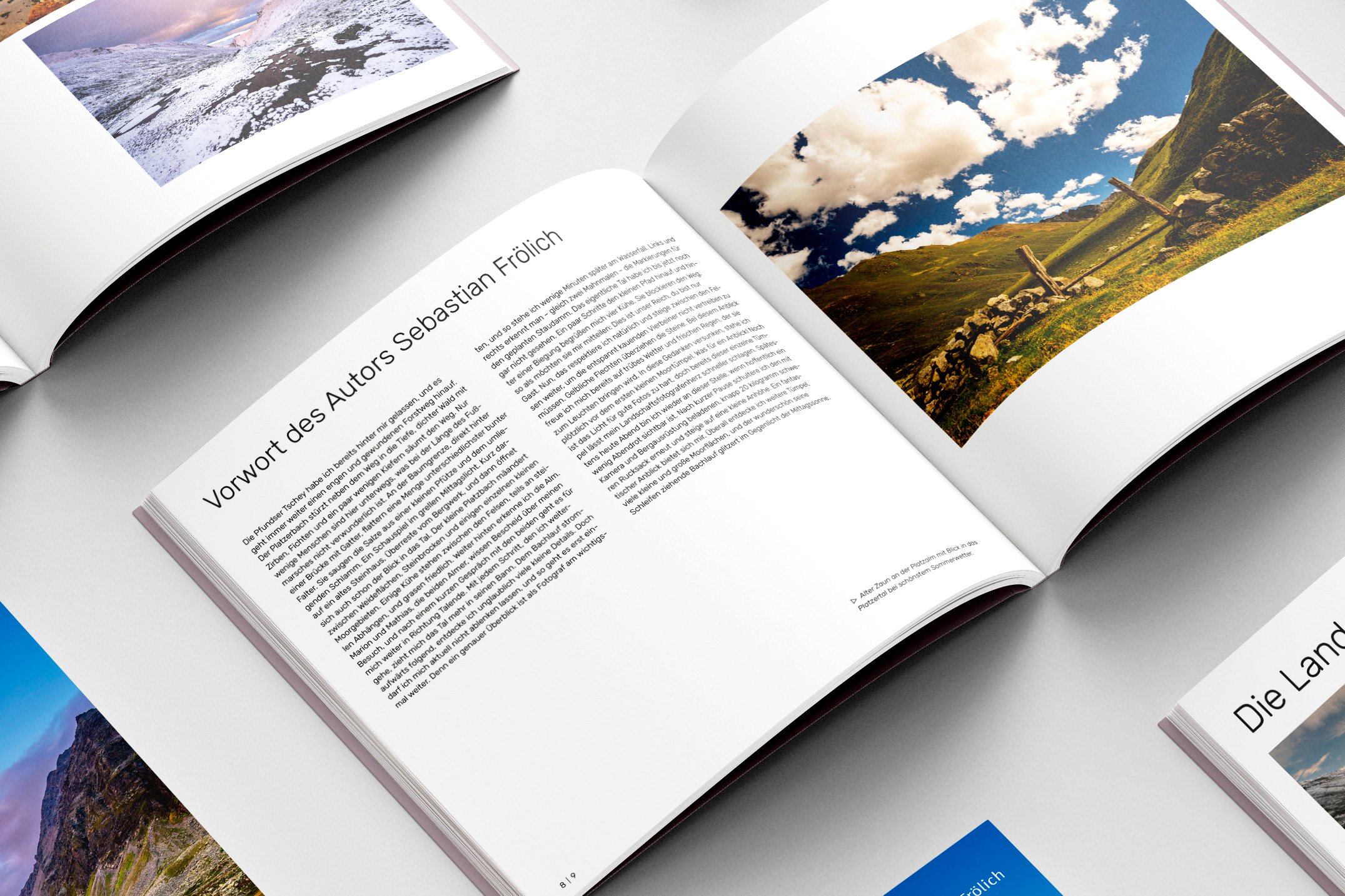 SF_Buch_Platzertal__Mockup_1.jpg