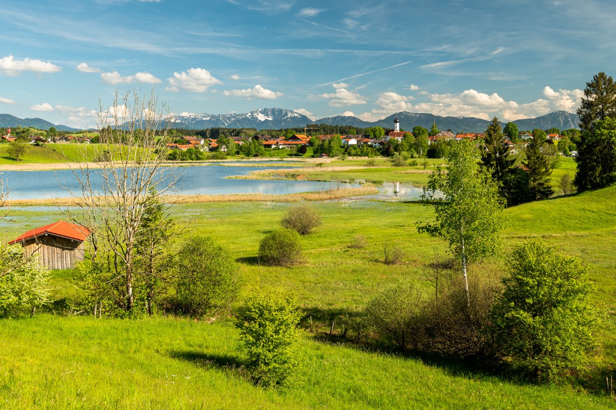 Iffeldorf und der Fohnsee im Frühsommer mit grünen Wiesen und blauem Himmel. Im Hintergrund die Alpen.