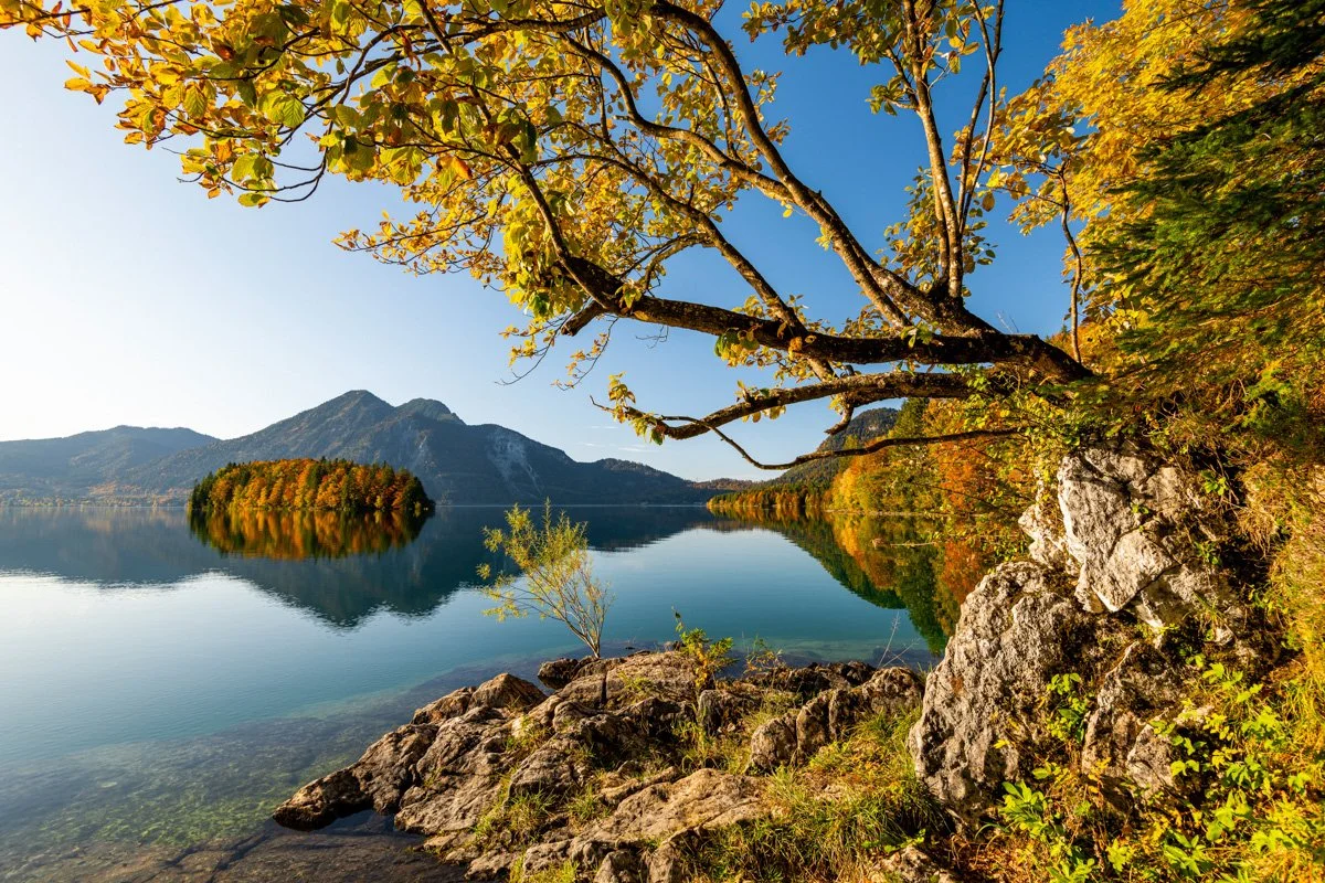 Herbst am Ufer des Walchensee, mit der Insel Sassau und dem Herzogstand im Hintergrund
