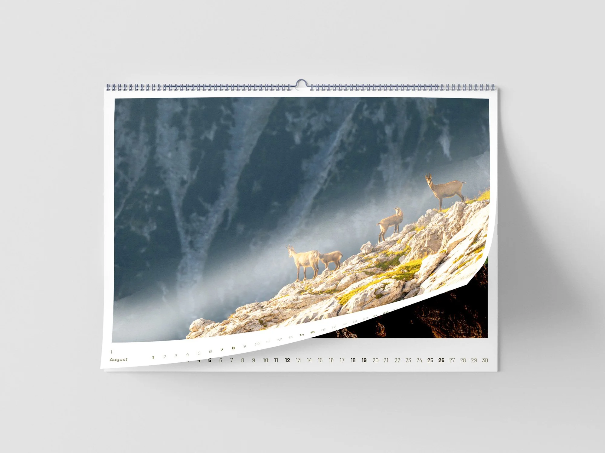 SF_Kalender_Mockup_Blätter_8.jpg