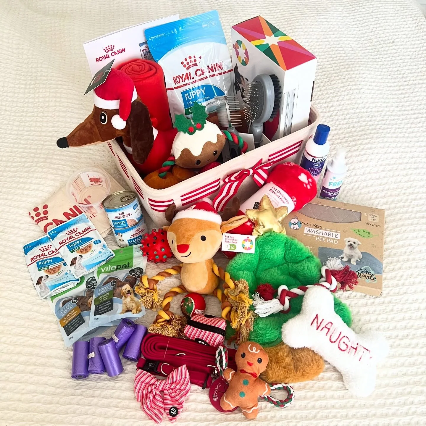 MERRY CHRISTMAS from Dachkin Miniature Dachshunds.

Our Santa&rsquo;s Reindeer litter are 8 weeks old today and will be starting to leave us to meet their new families. Here is a peek of what&rsquo;s inside their puppy pack - it was so fun putting th