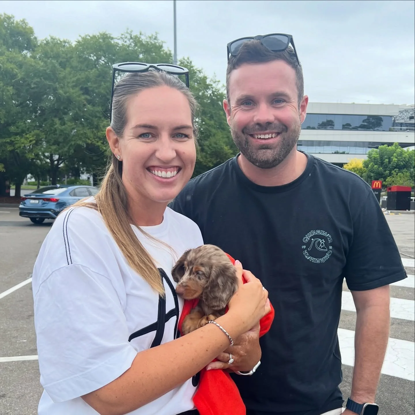PUPDATE - Handsome little CUPID from our Santa&rsquo;s Reindeer litter got to meet his new mum and dad today. Looking forward to seeing him grow over time. His new name will be DASH !!! 

ALLOCATED - 💙💛 DASH (previously CUPID) - 8 weeks old
&bull; 
