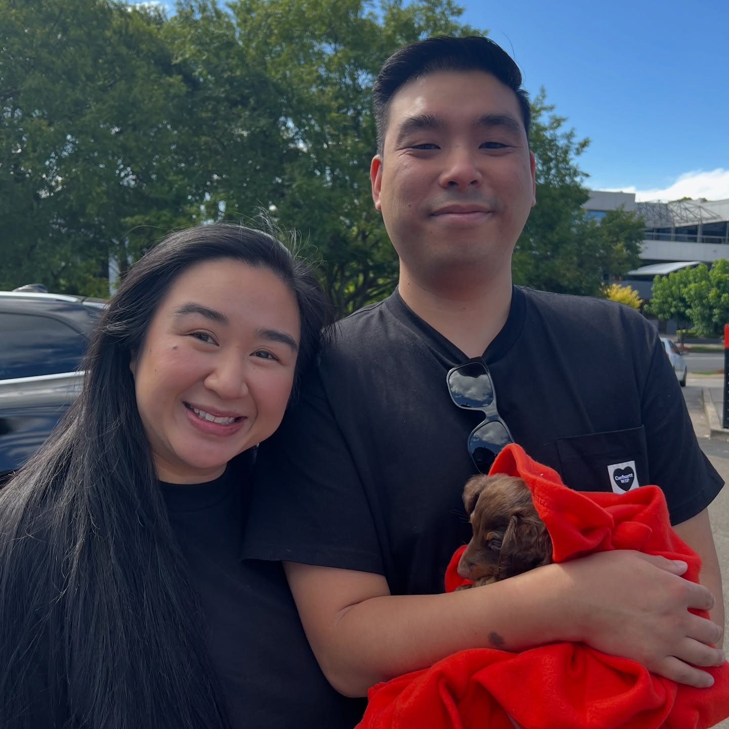 PUPDATE - The tiniest of the litter RUDOLPH from our Santa&rsquo;s Reindeer litter met his new mum and dad yesterday. Looking forward to see how big he will grow over time. His new name will be HOJICHA !!! 

ALLOCATED - 💙🤍 HOJICHA (previously RUDOL