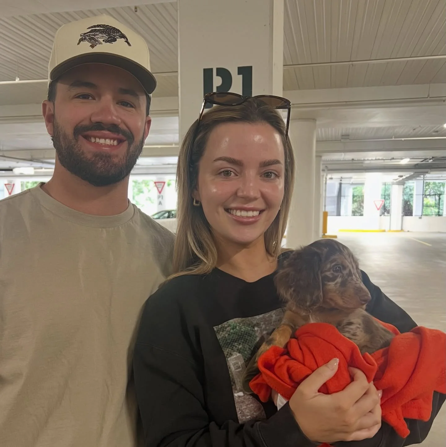 PUPDATE - Lovely little COMET met his new mum today. His new name will be ODIE !!! 

ALLOCATED - 💙🧡 ODIE (previously COMET) - 9 weeks old
&bull; Chocolate and tan boy - born 30/10/25
&bull; Long haired miniature dachshund puppy - PRA, MVDD and SDMD