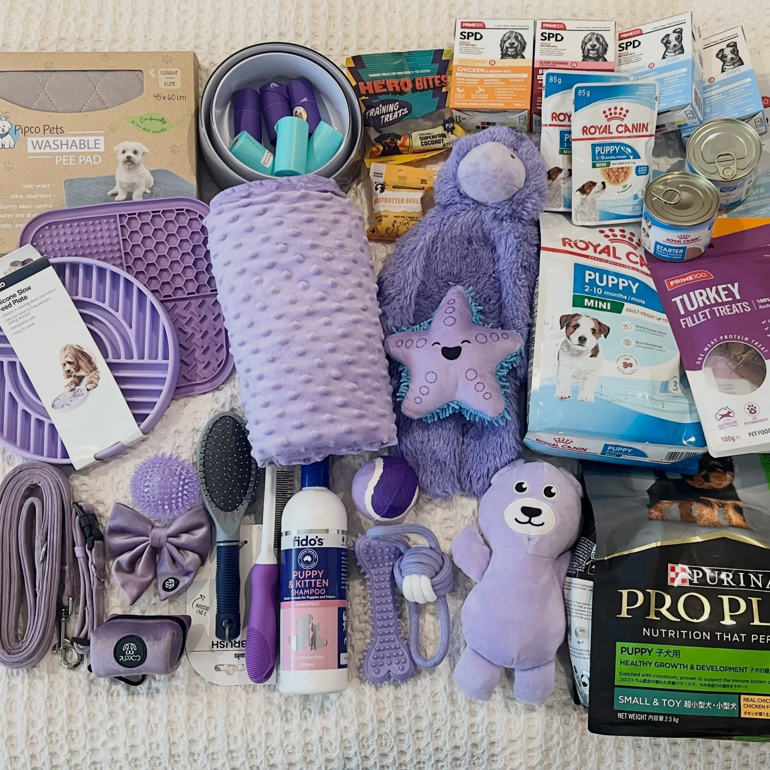 PUPPY PACKS - Our BLACK NOIR litter is over 7 weeks old now and they will start to leave us from this weekend (after they have turned 8 weeks old) so we are busy putting both of their puppy packs together. Their new owners have both chosen PURPLE for