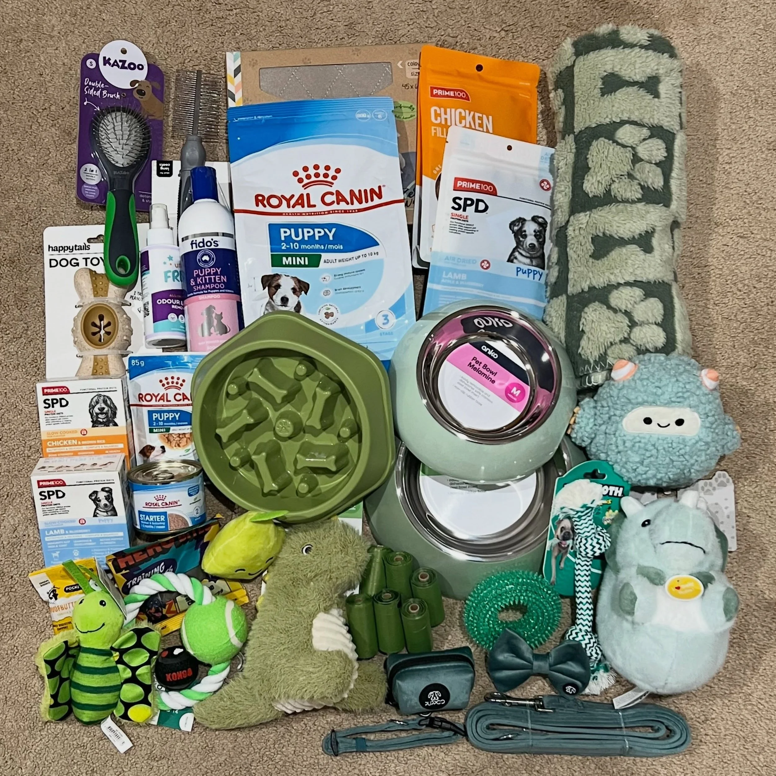 PUPPY PACKS - Another puppy from our CHARMED litter went to his new family yesterday. LEO&rsquo;s new name is BUSTER and this is his puppy pack. 

#dachkin #miniaturedachshundpuppy #puppypack #dachkinpuppypacks