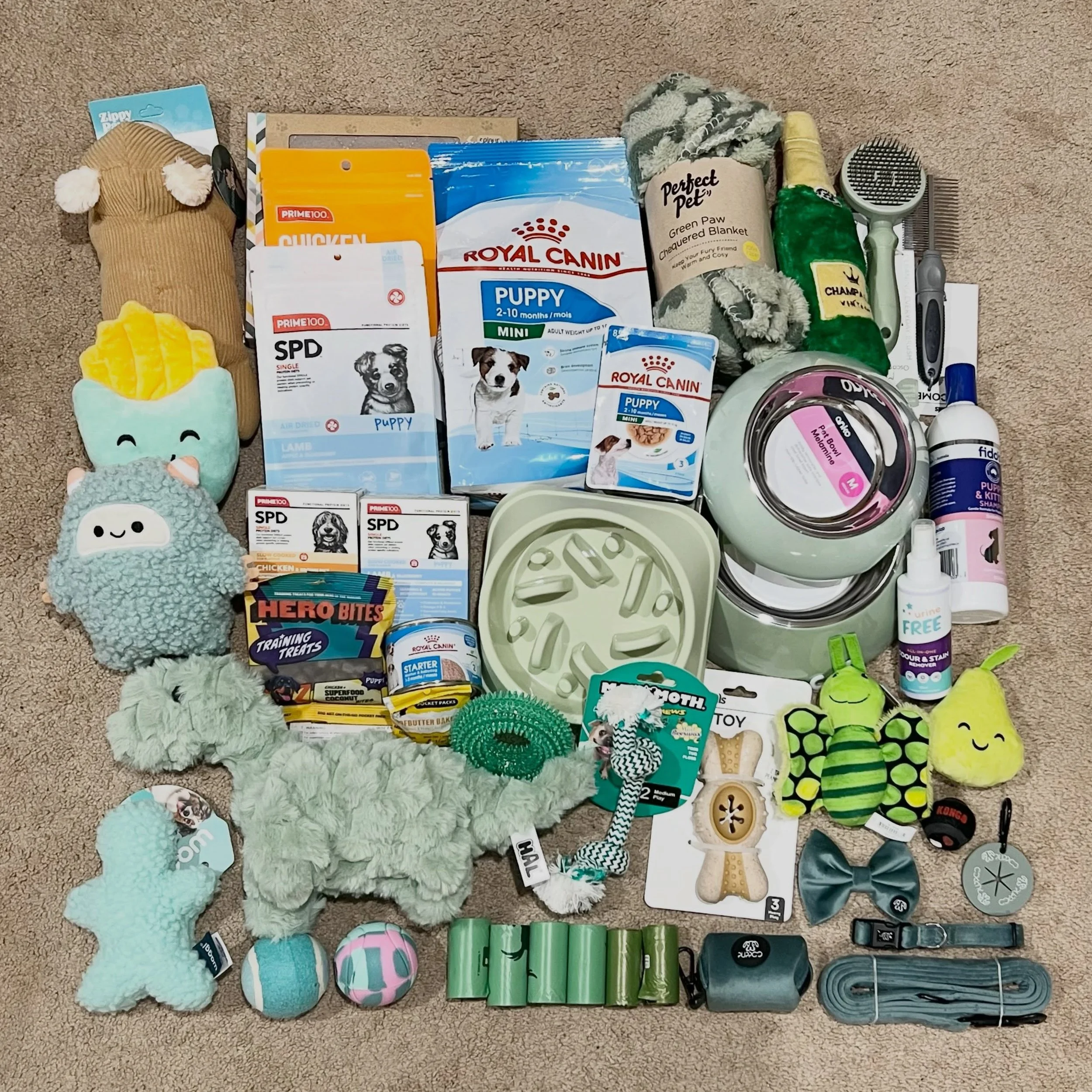 PUPPY PACKS - I&rsquo;m also posting this puppy pack to Adelaide today to reach THOR (from our ASGARD litter) new family before he flies there next Saturday. His new parents are very excited as THOR will be joining THEODORE (COLIN from our previous B