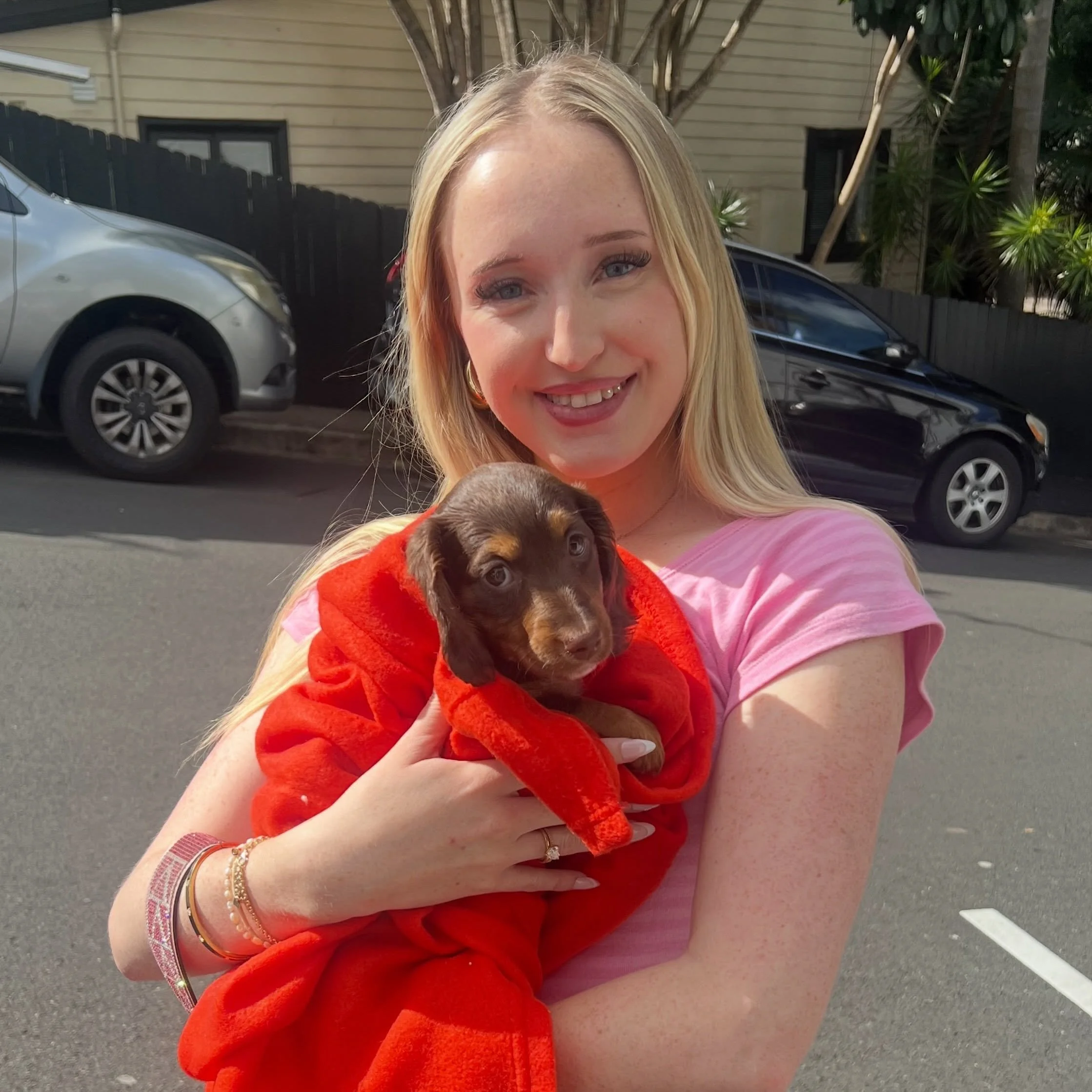 PUPDATE - Our lovely girl ROSIE was the first to go to her new family in Sydney yesterday. She will now be called AMORA. 

ALLOCATED - 🩷💜 ROSIE
&bull; Chocolate and tan girl - born 14/7/26
&bull; Ready to go to their home from 8/9/26
&bull; Long ha