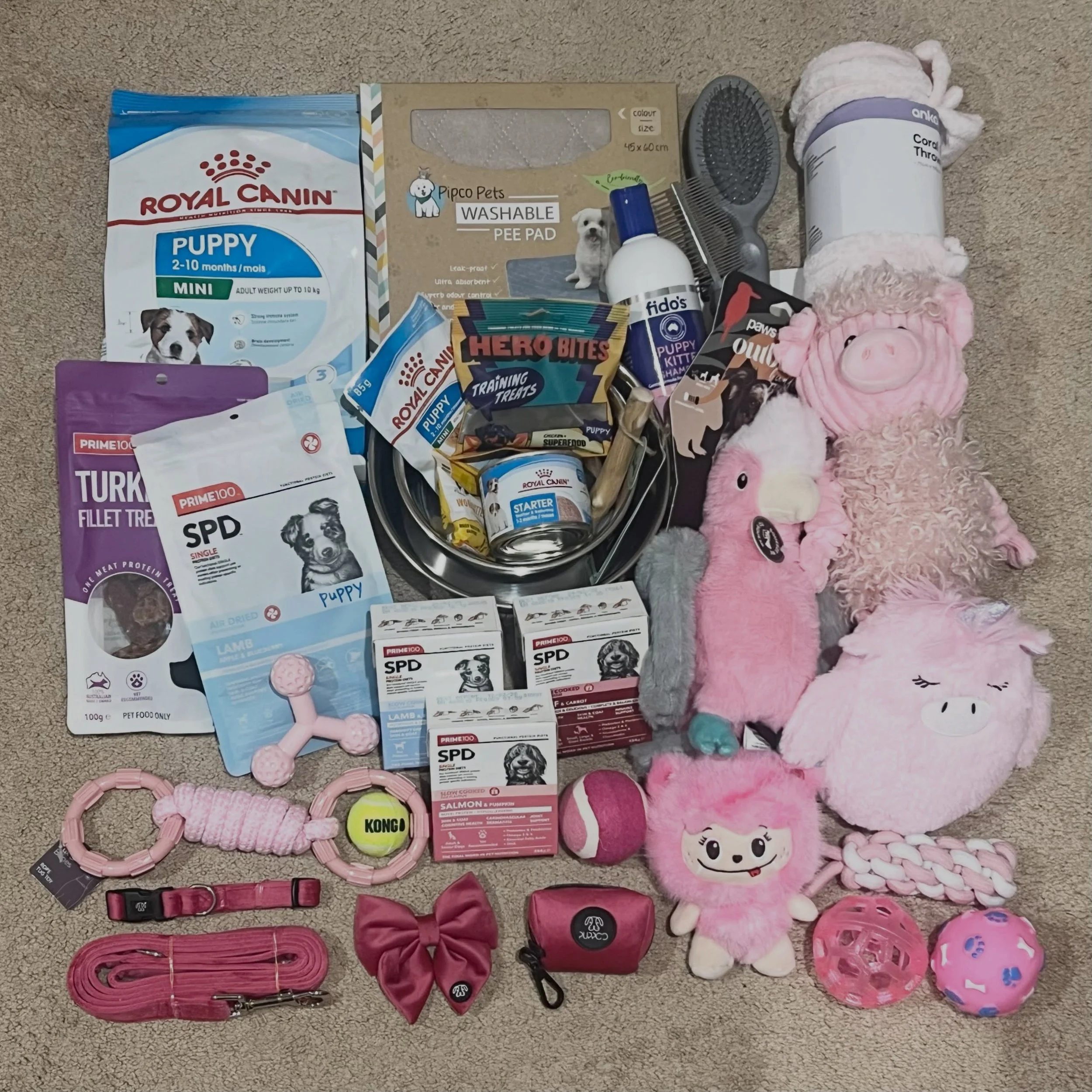 PUPPY PACKS - Now that our JETSONS litter are starting to go to their new families I am madly putting together their puppy packs. This one is what RISIE (now AMORA) received last week. 

#dachkin #miniaturedachshundpuppy #puppypack #dachkinpuppypacks