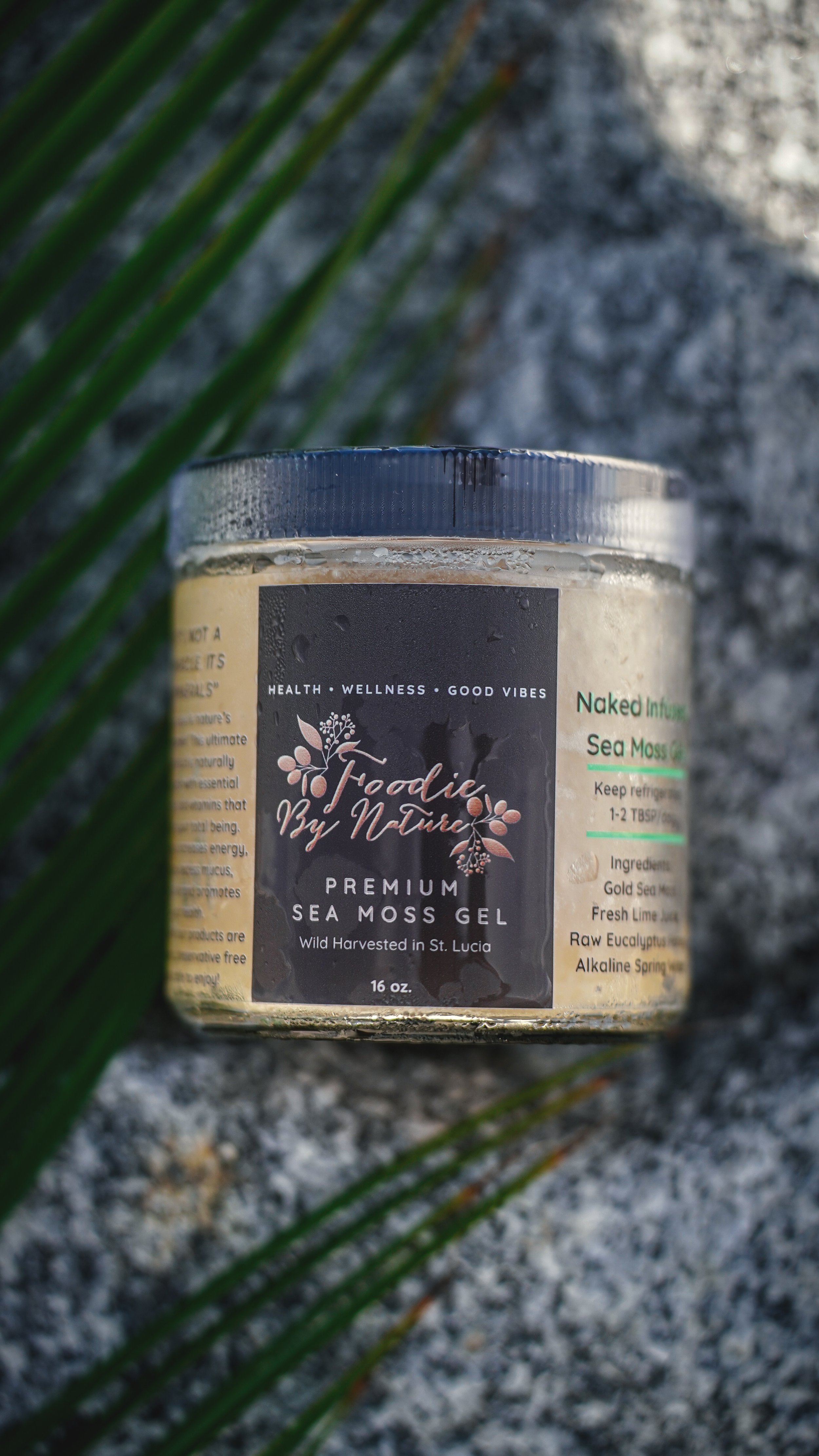 FBN+Product+Photos-16.jpg