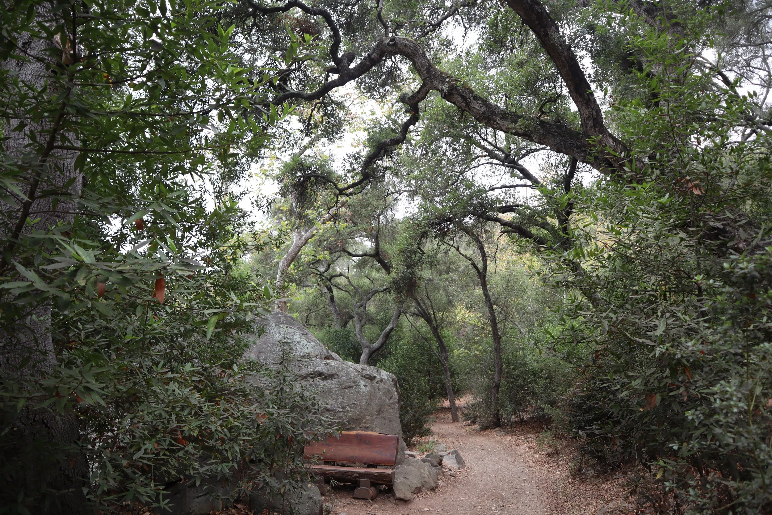 Santa Barbara: Botanical &amp; Mission Gardens