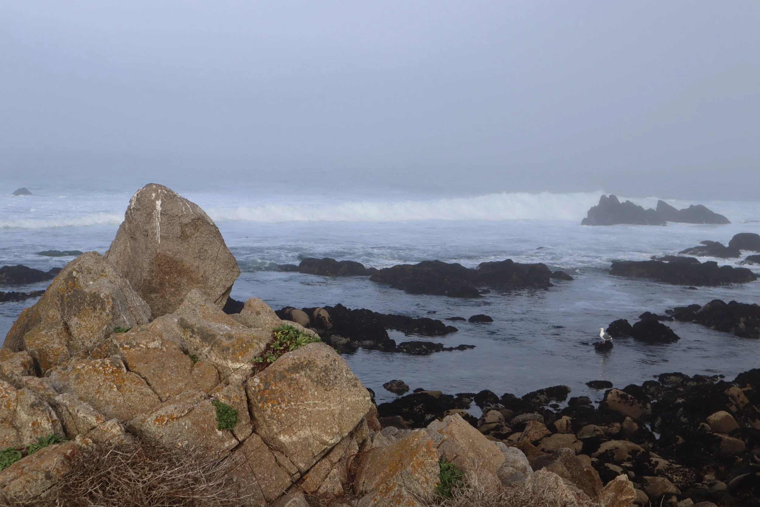 Monterey: Coastal Fog