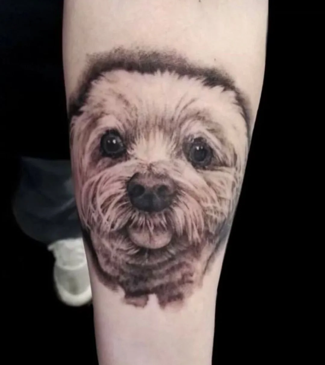 billy_sarno_huntington_beach_tattoo_realism_realistic_black_and_gray_dog_portrait_forearm.jpg