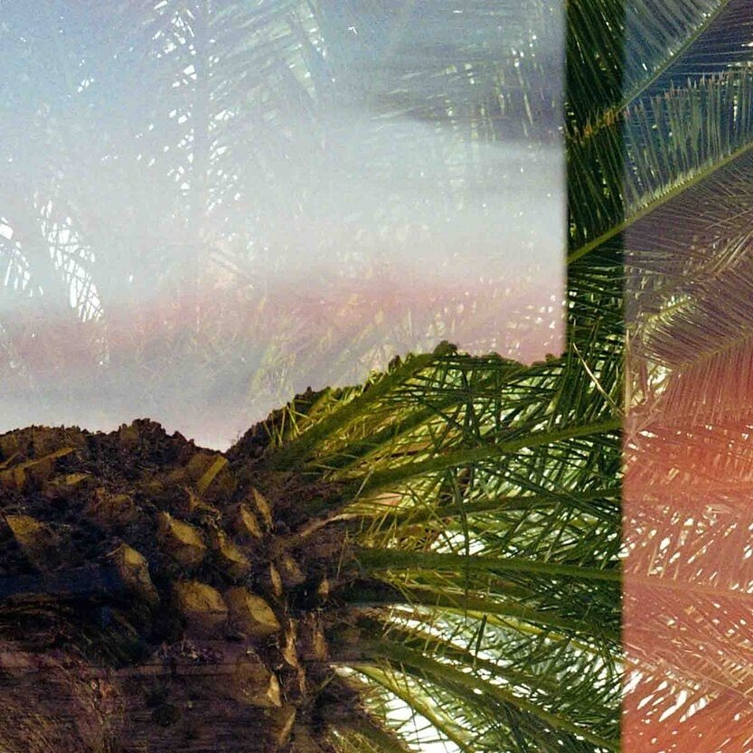 Palm Fronds 1/3

#abstract #35mm #filmphotography #photography #art #doubleexposure #creative #creativestudio #nature #trees