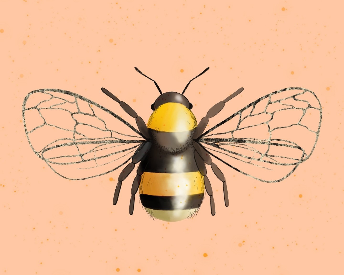 Buzzing around 🐝 

#bee #illustration #digitalillustration #design #creativestudio
