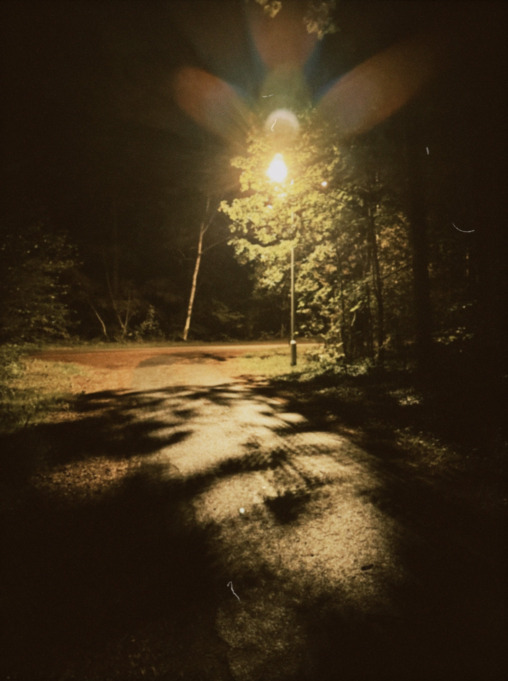 evening walk, somewhere in the world