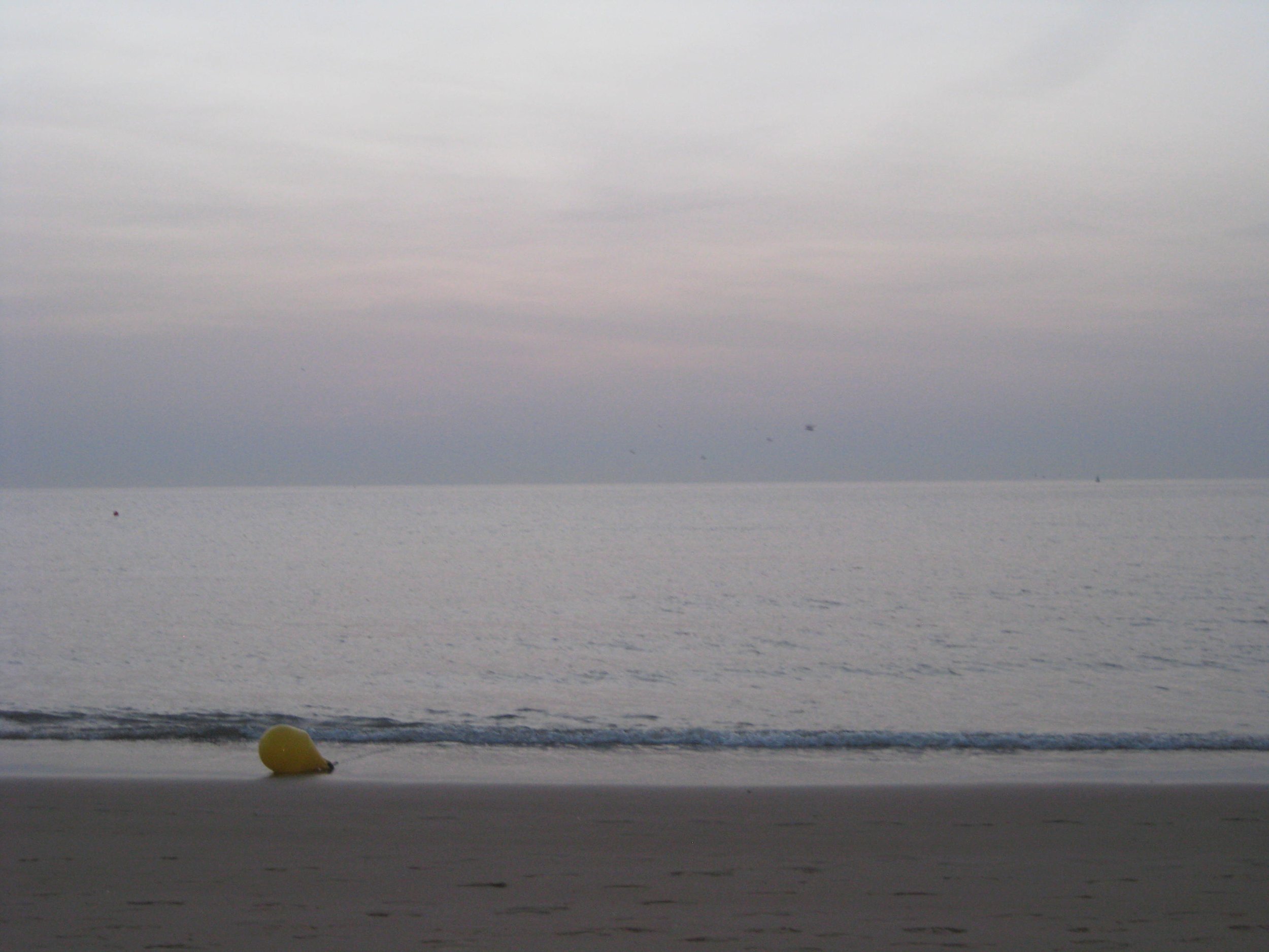seaside 2026