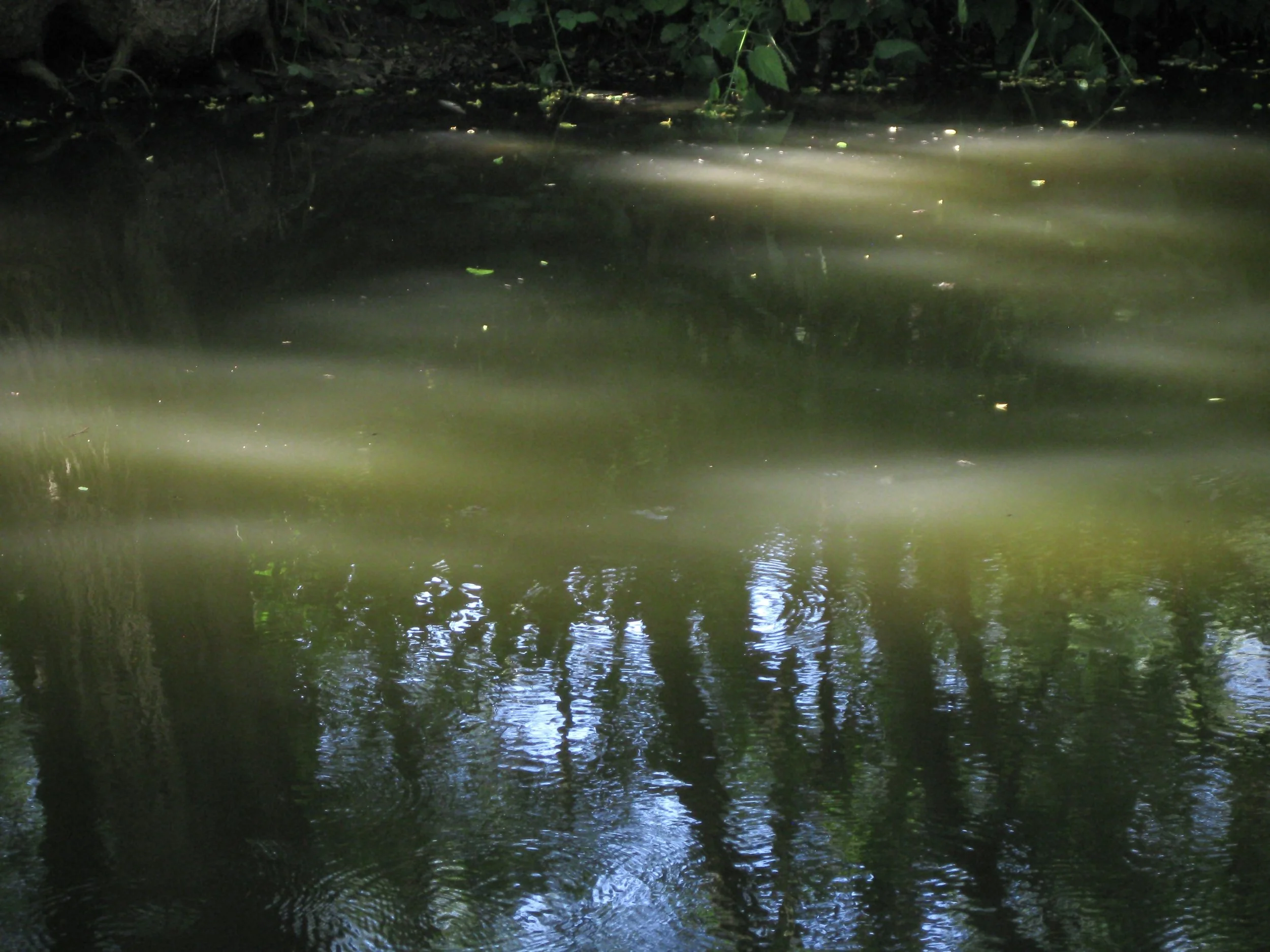 I love the reflection of light in the water... lommel 2026