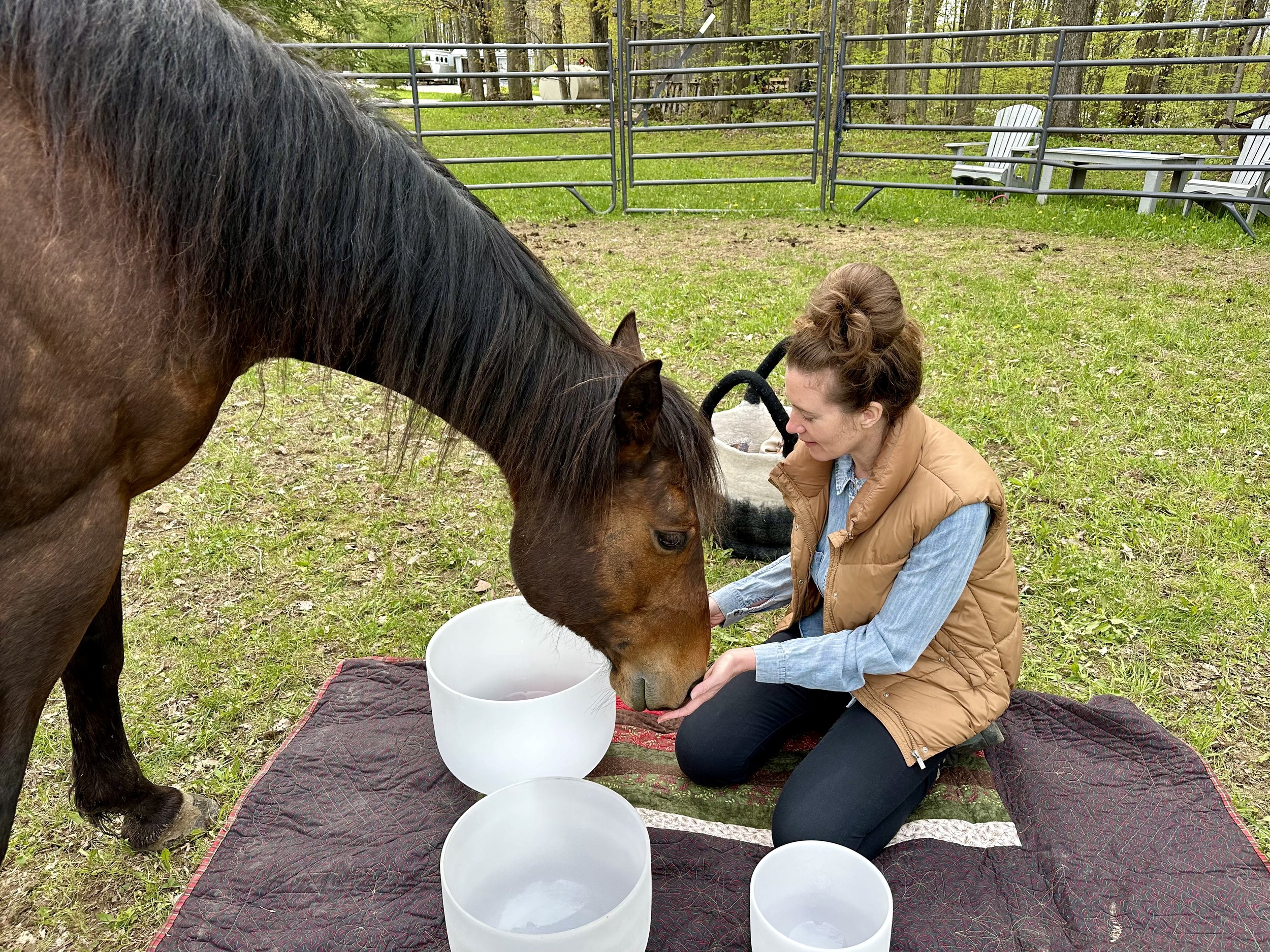 Sound Healing & Horses - Day 2