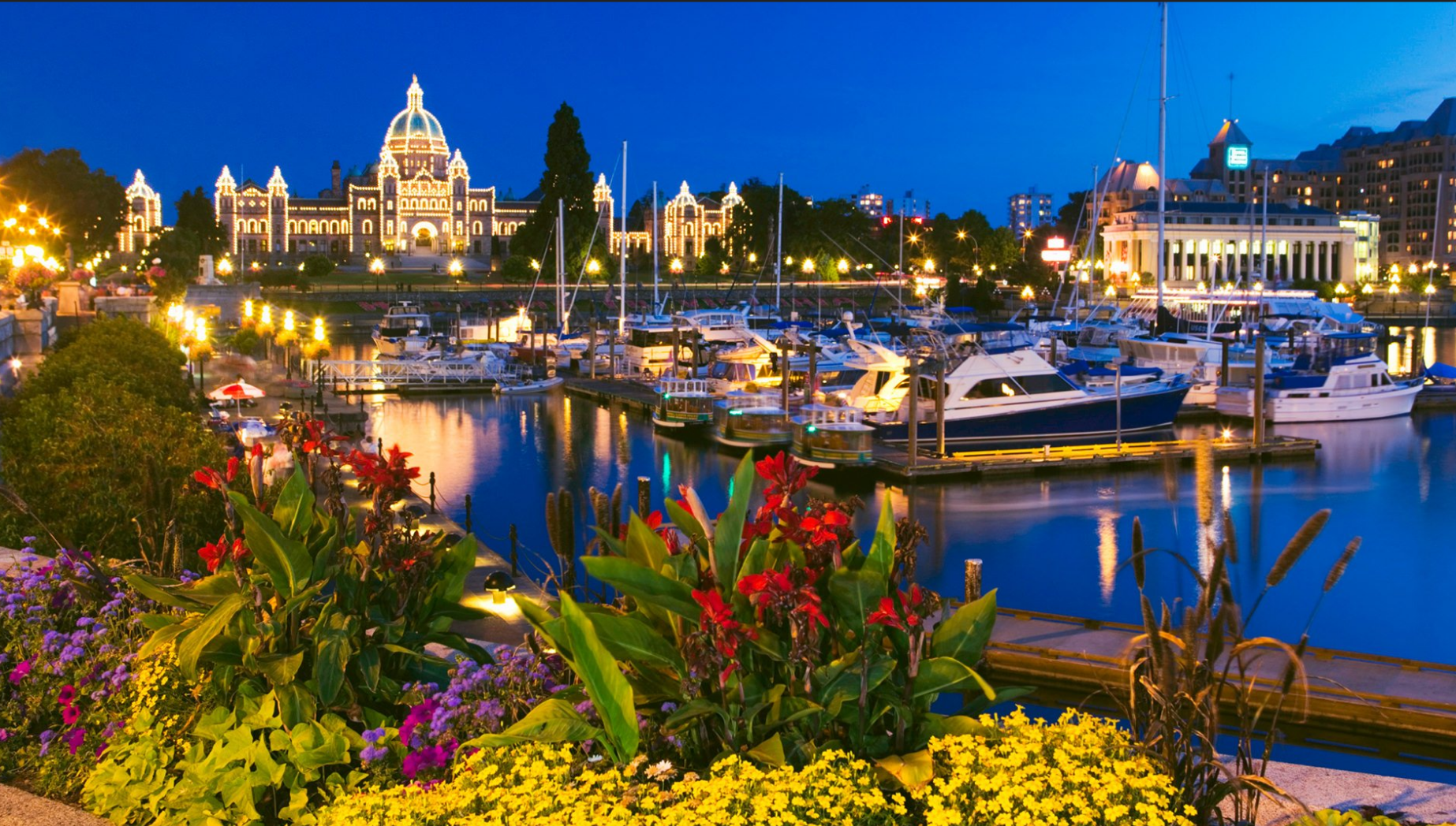Victoria Harbour.jpeg.png