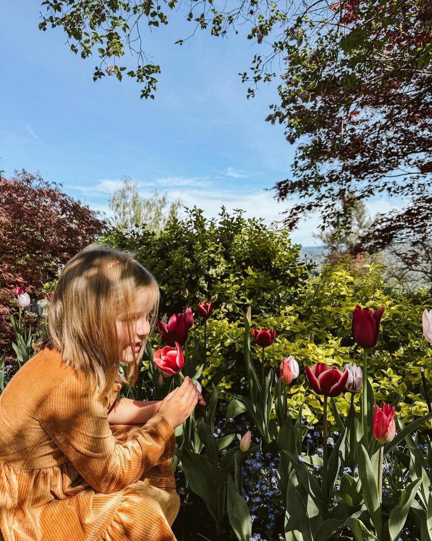 Why we spent 3.5 hours in the car to look at tulips for 45 minutes (and then got frozen yogurt for lunch):
⠀⠀⠀⠀⠀⠀⠀⠀⠀
Because I had no childcare, no meetings, and every problem in my inbox could wait another day. Because Brett was out of town and I wa