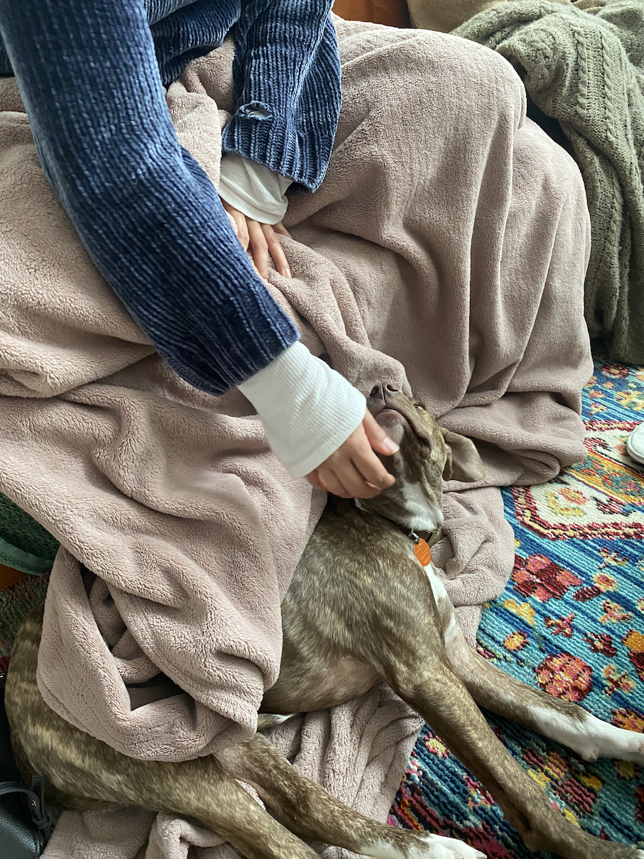 I had just adopted Azar (my puppy) and he made himself a part of the ritual too!