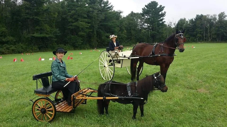 Events Southern New England Carriage Driving Association Events Southern New England Carriage Driving Association