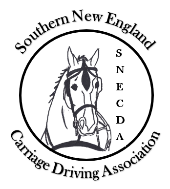Equine Myofascial Release Demonstration