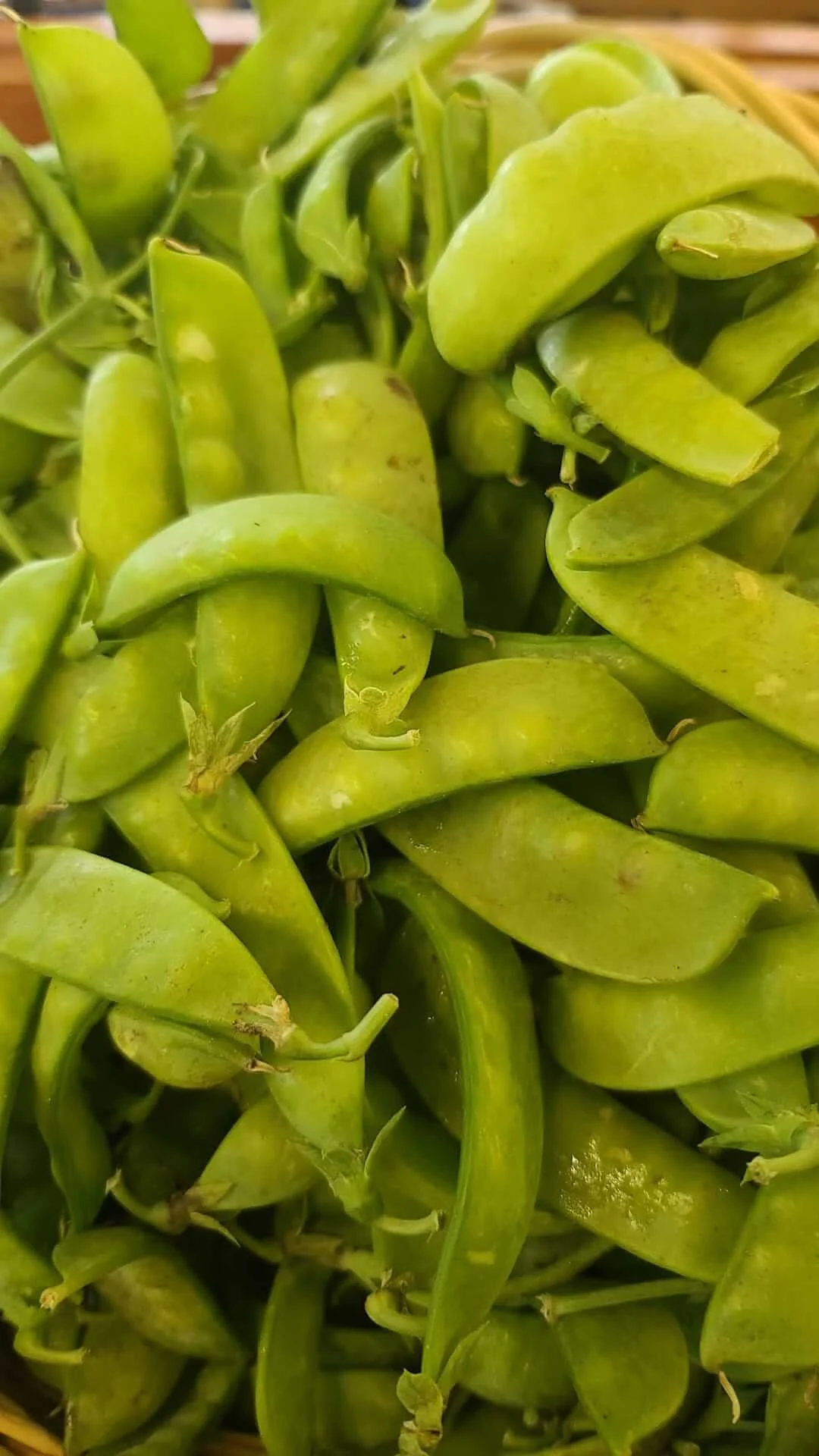 Vineyard Farm Sugar Snap Peas