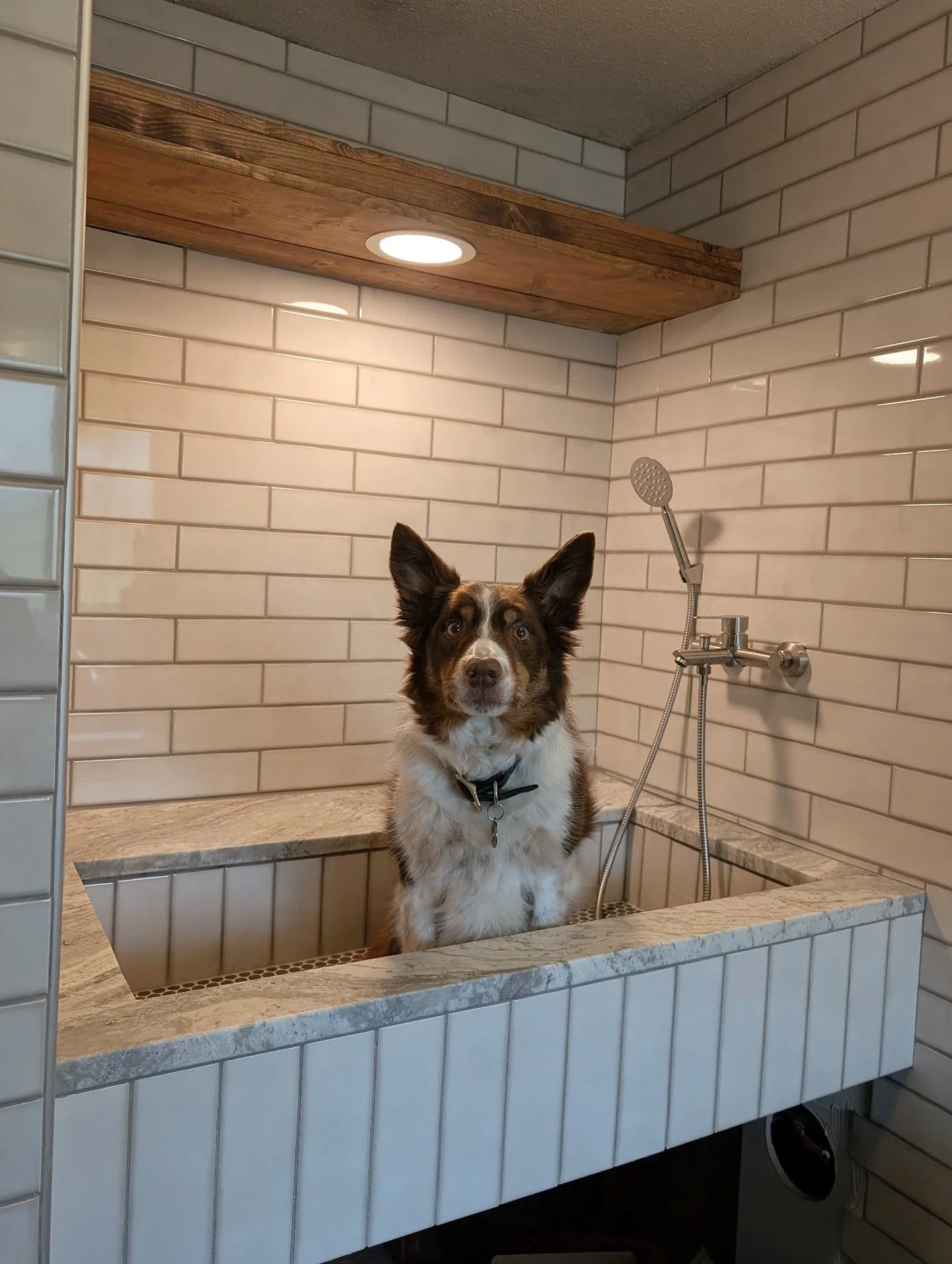 Donated some fantasy brown granite for a personal DIY dog wash station to some of our favorite customers that trusted us from the very beginning! Turned out amazing! #dıyproject #granitecountertops #remodel #bathroomremodeling #quartzcountertops #hau