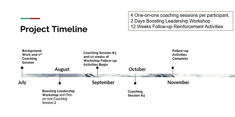 Customizable Leadership Programs — Boosting Leadership