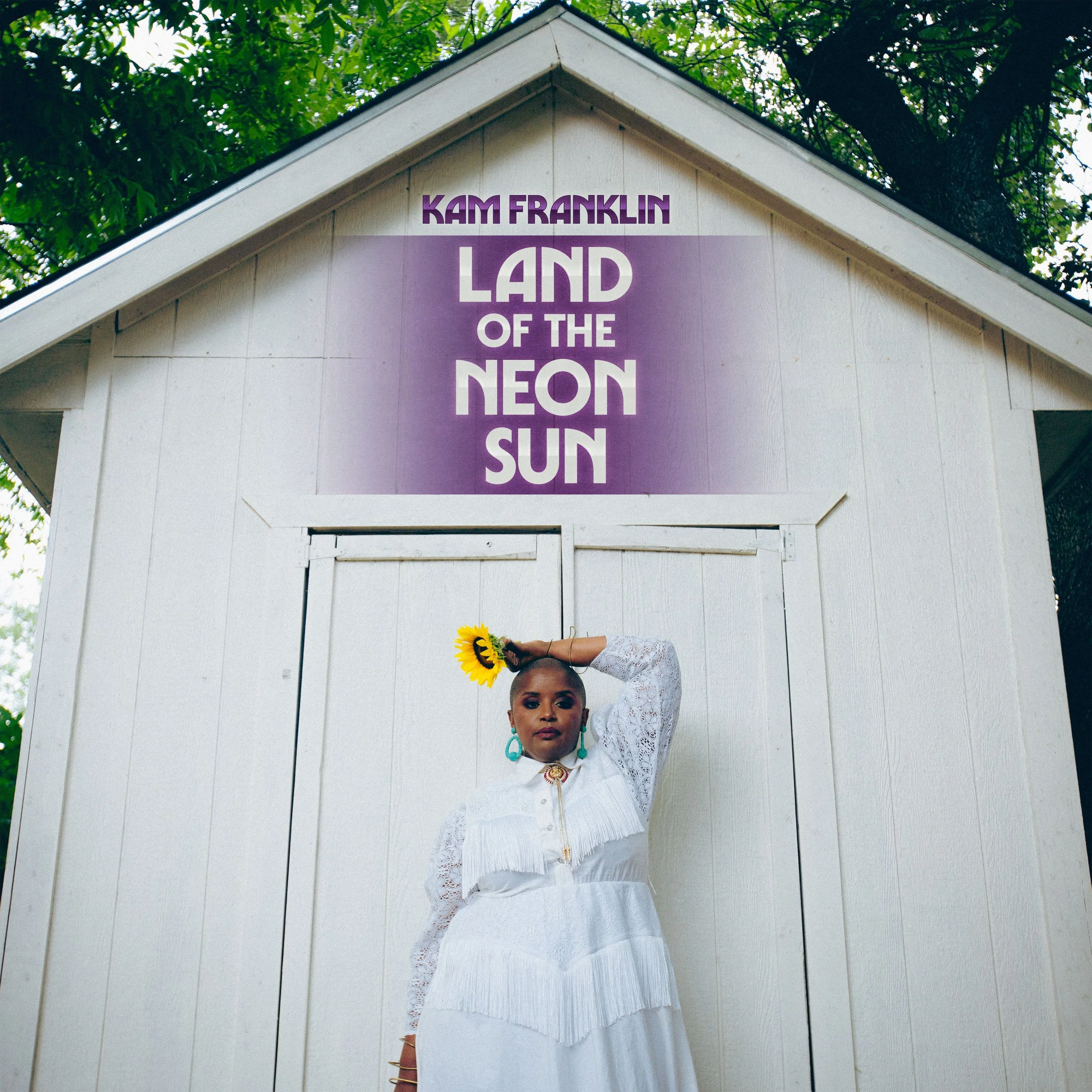 "Land Of the Neon Sun", my debut solo album