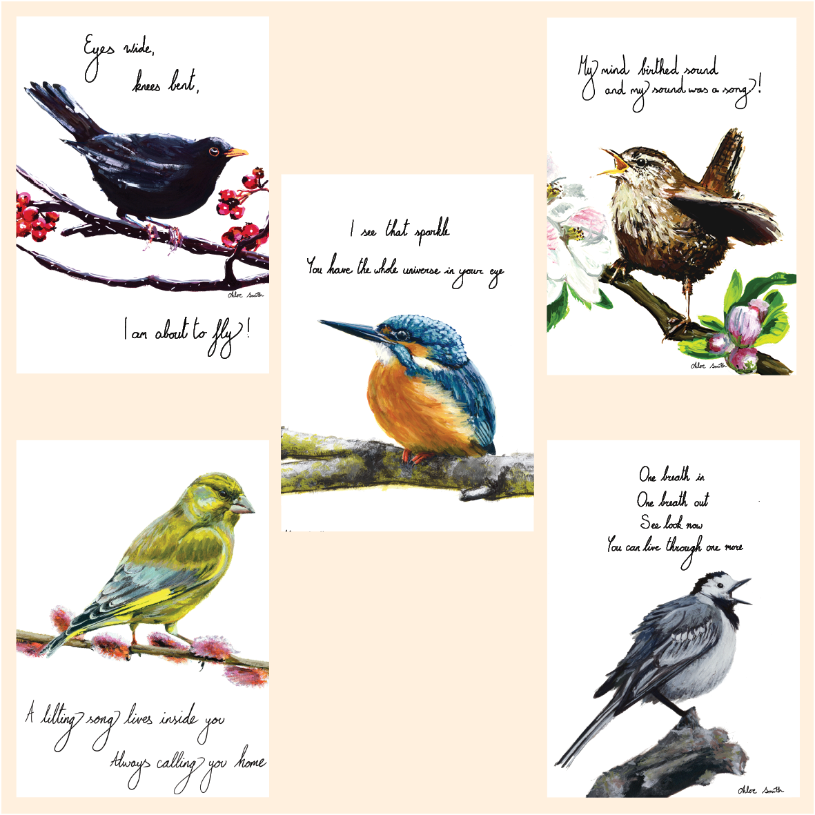 Bird Card Pack