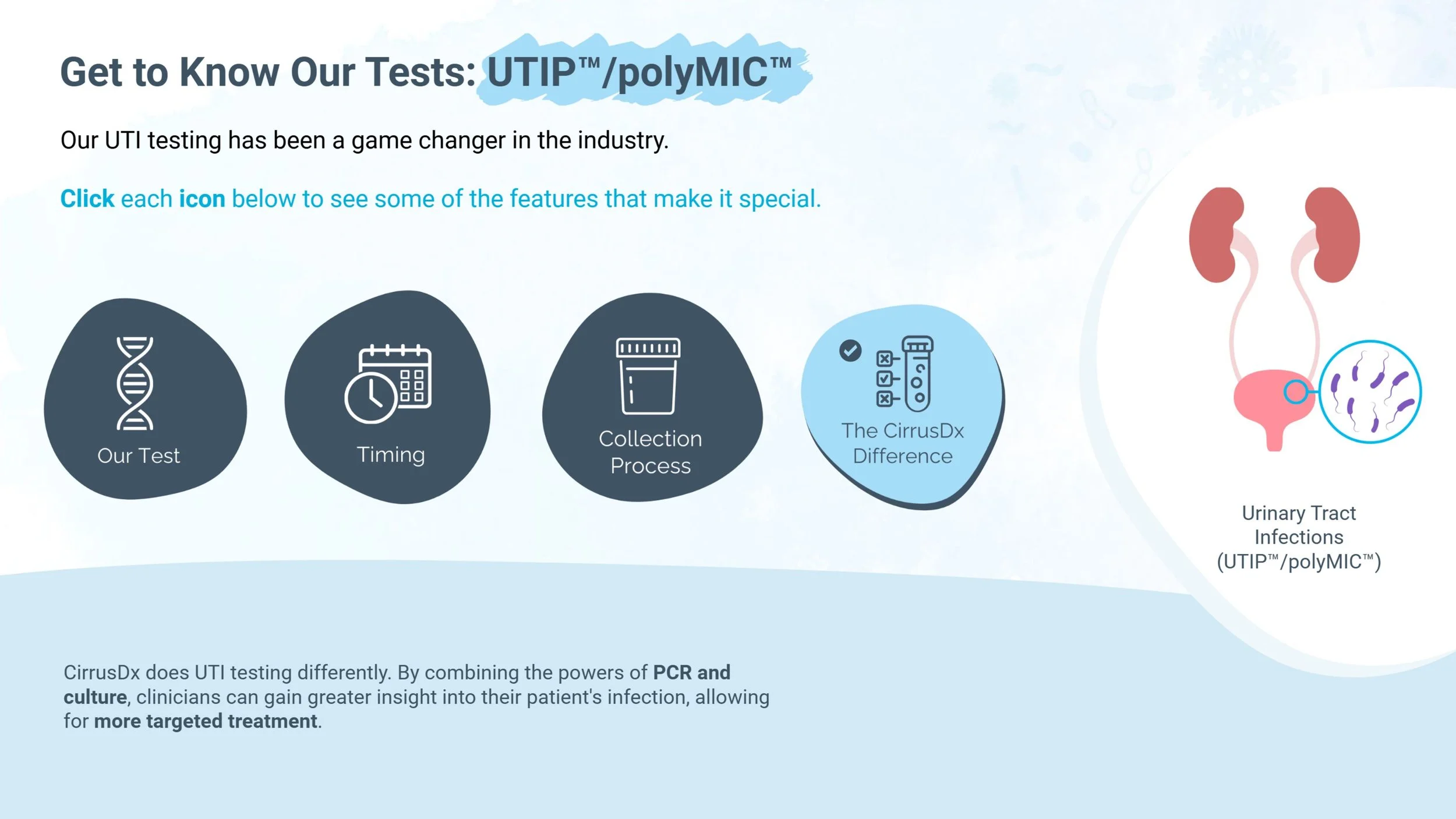UTIP/polyMIC Overview – Exploring a Flagship Innovation