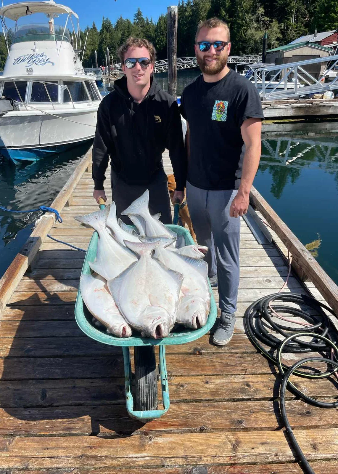 messages_0 (92).jpeg