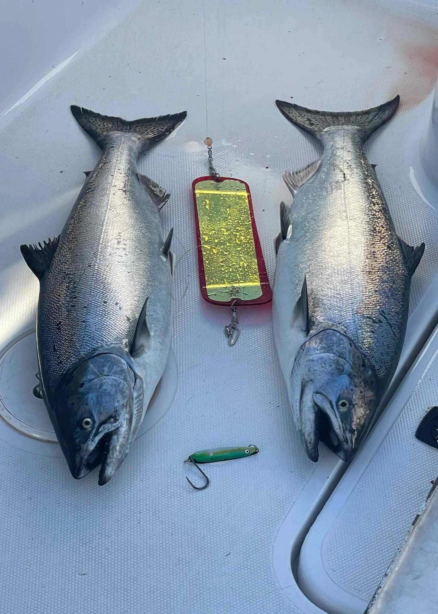 messages_0 (35).jpeg