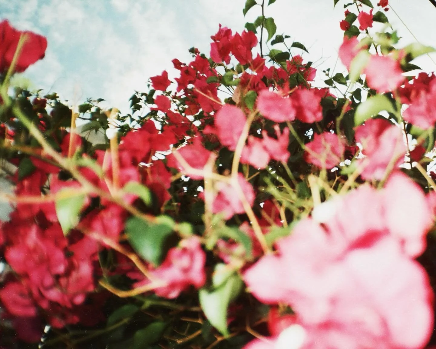 film that i started in july and finished in september