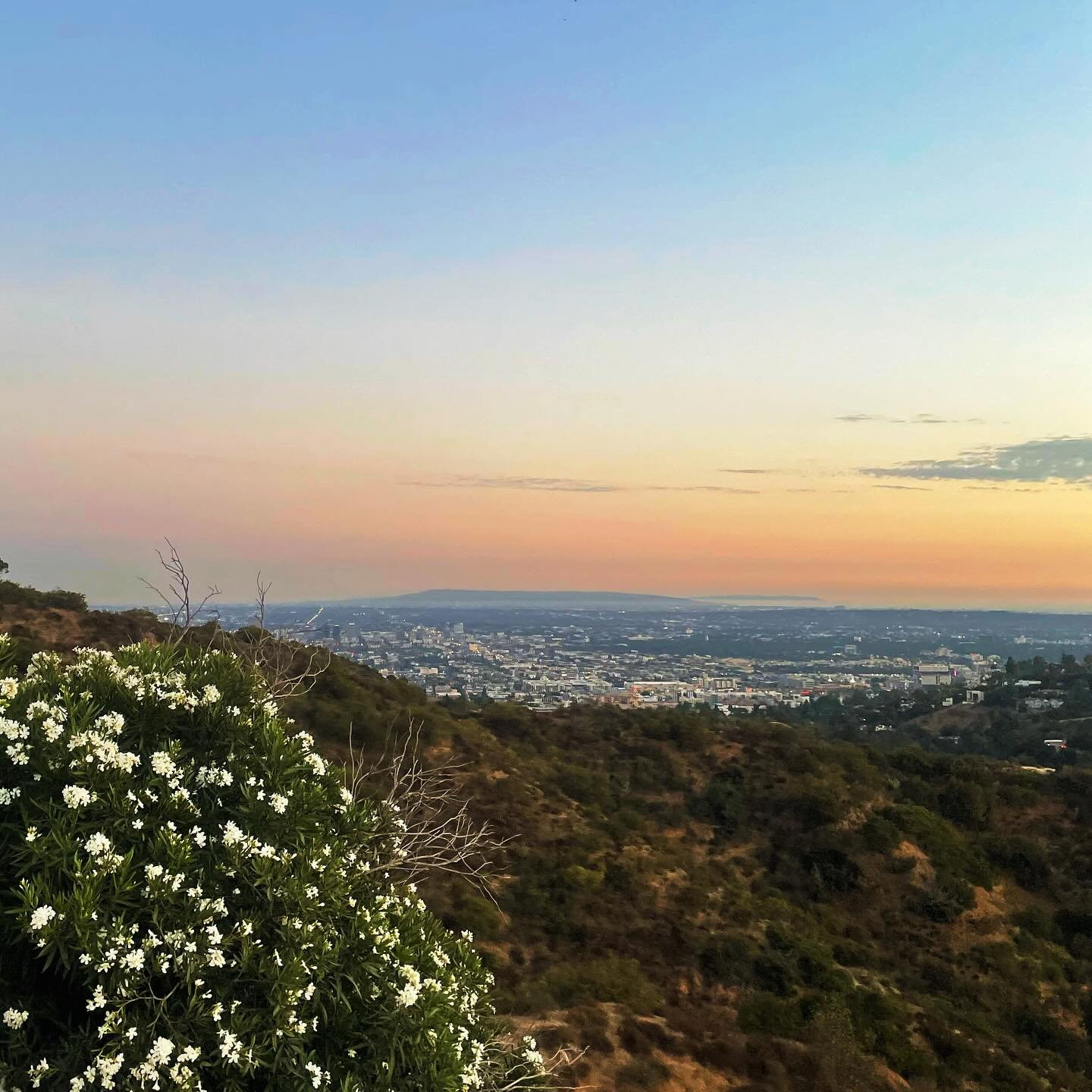 mfw my iphone storage is full, so i&rsquo;m freeing up space with a silly little instagram photo dump!!!!!!!