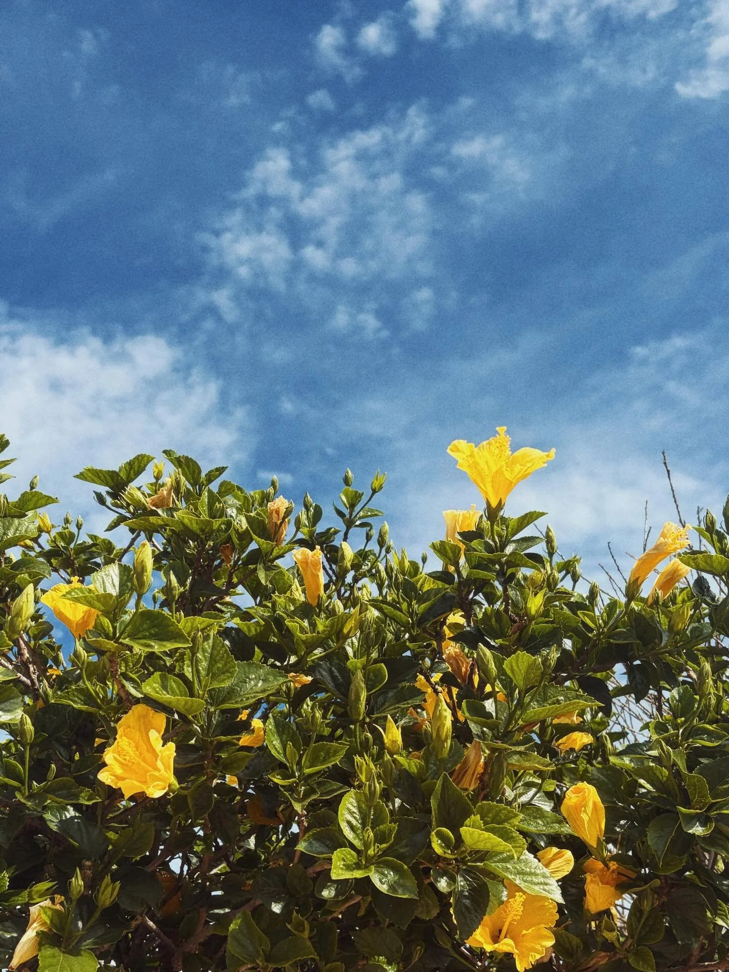 people!!!!! places!!!! and things!!!!!