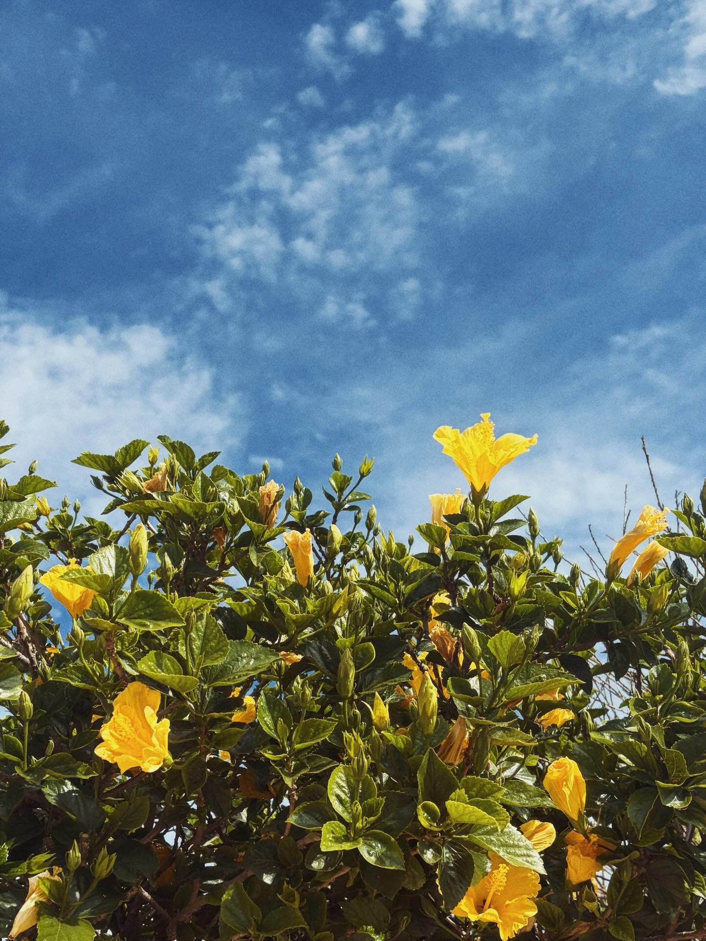 people!!!!! places!!!! and things!!!!!