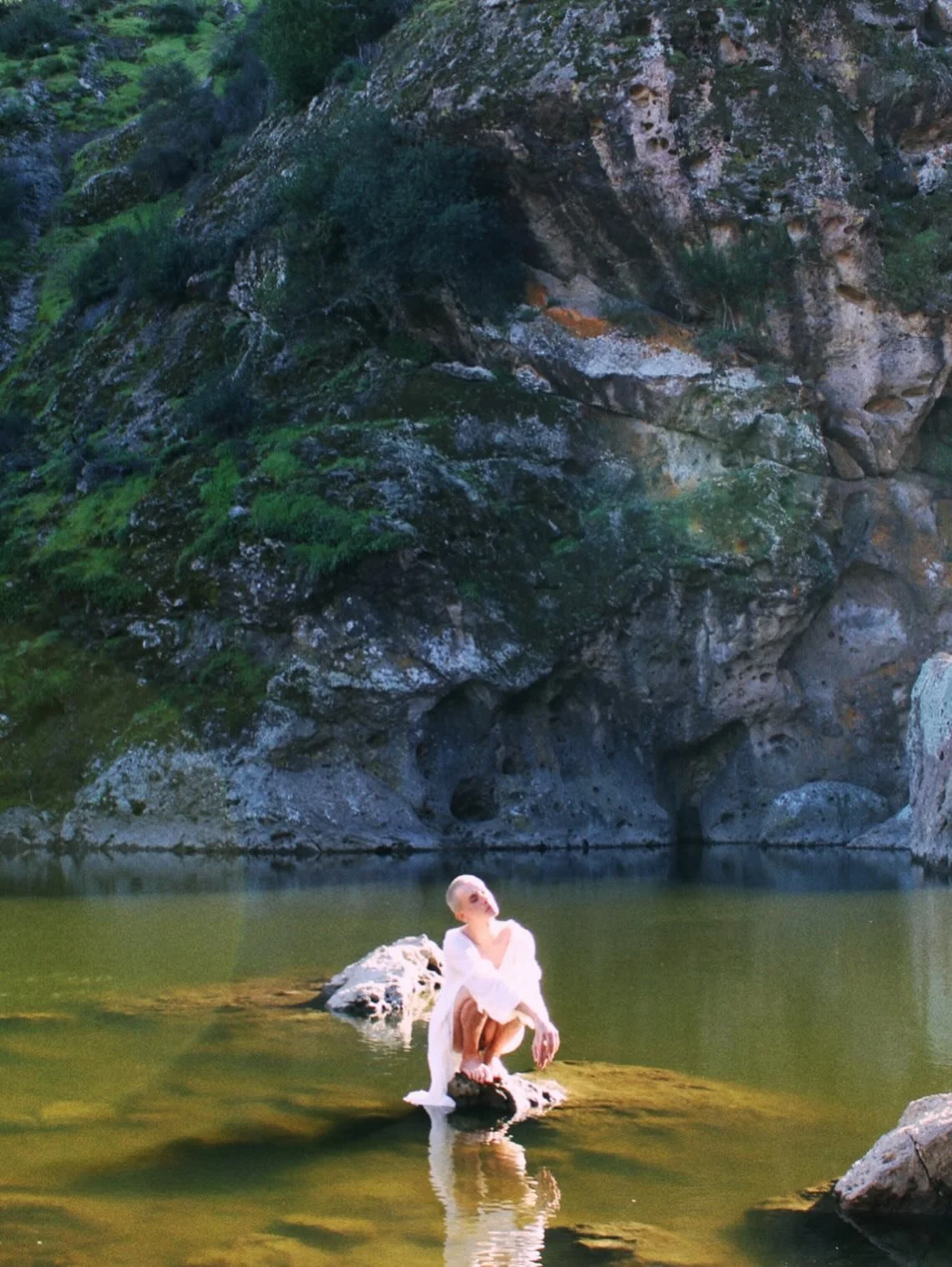 stick with picking daises for instagram