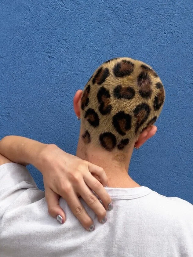 🐆🐆🐆