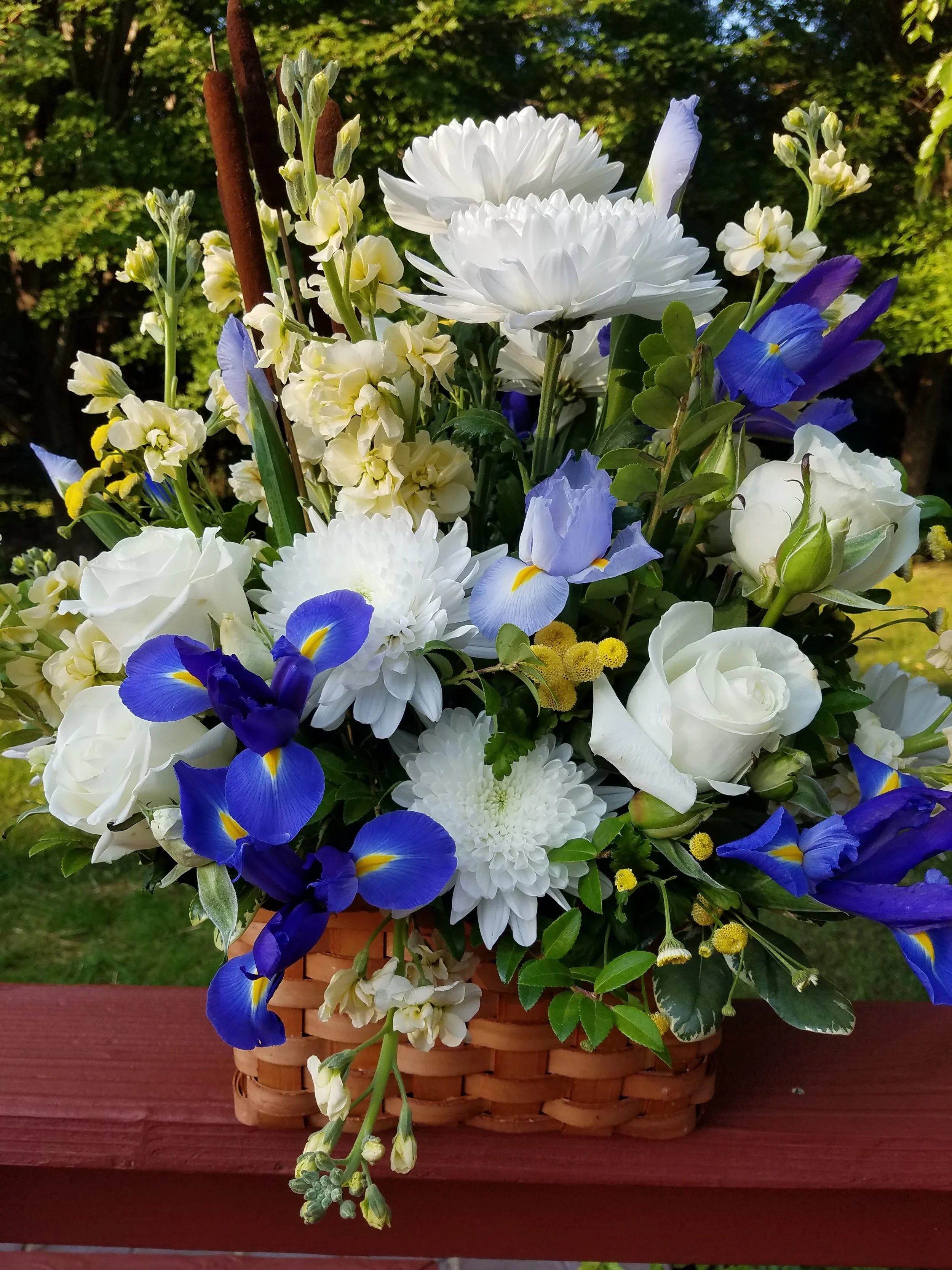 20180910_080401.jpg
