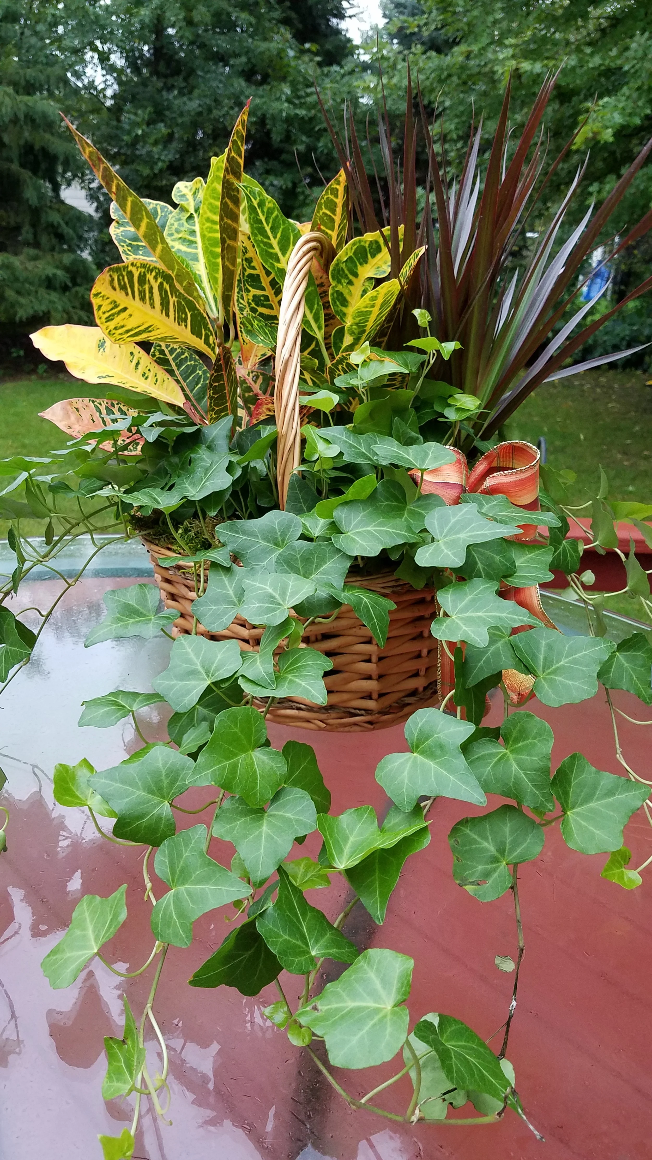 20190930_084431.jpg