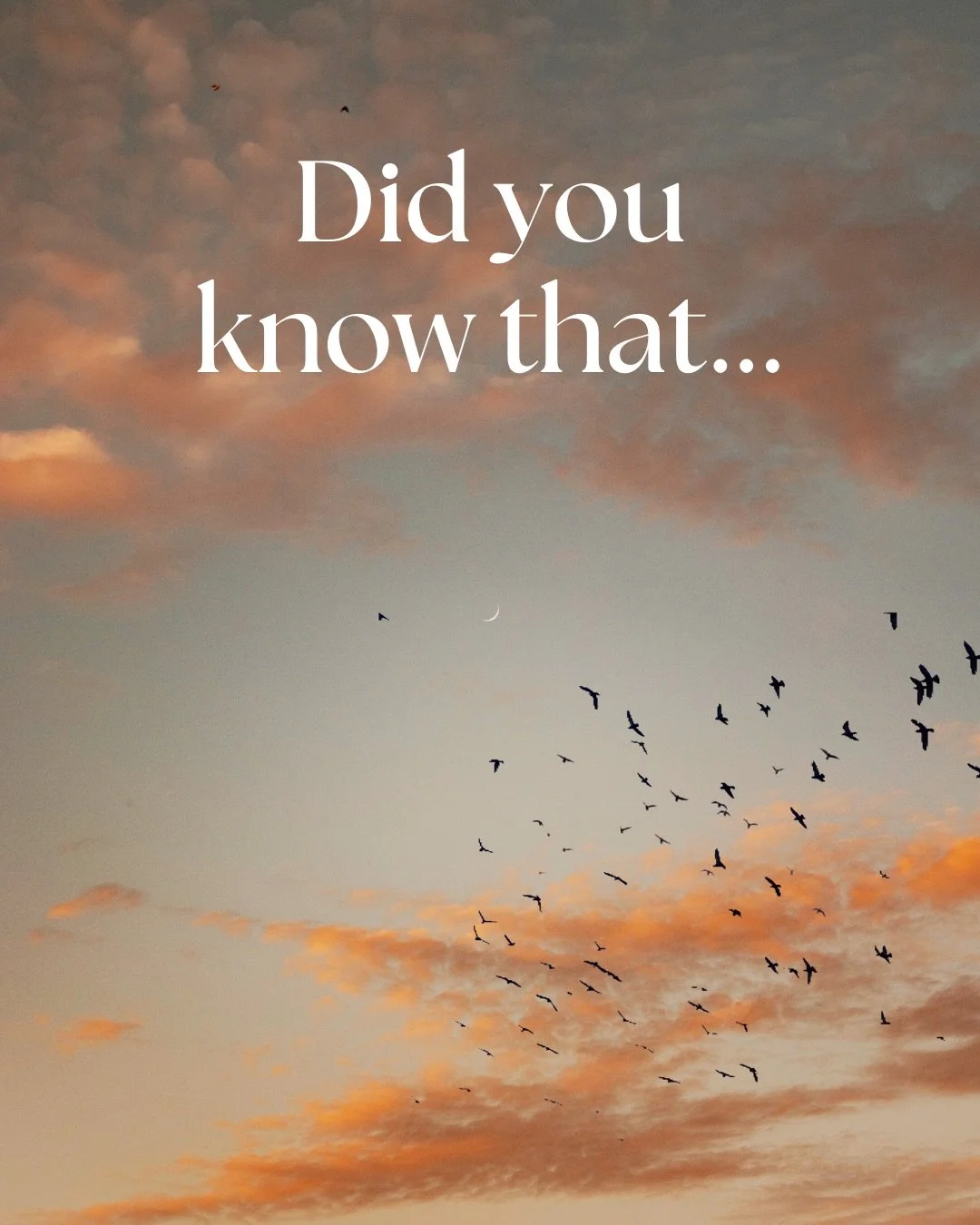 Some days, life just feels heavy&hellip; even when nothing seems &ldquo;wrong.&rdquo; 🌫️

That&rsquo;s often your body and mind quietly holding onto all the little stresses, thoughts and emotions that stack up throughout the day. 
Reiki helps releas