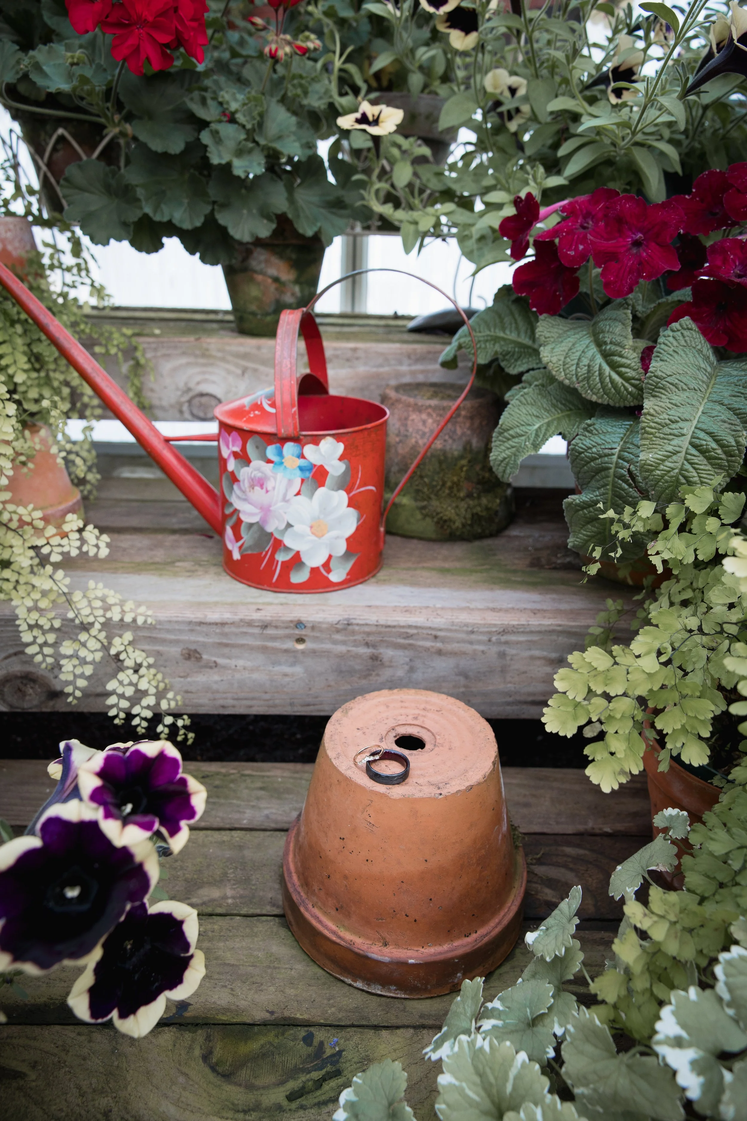 A rustic garden scene featuring a copper watering can with painted flowers, surrounded by colorful flowering plants and foliage. A terracotta pot is turned upside down with a ring on top, and a wooden shelf with various plants serves as the background.