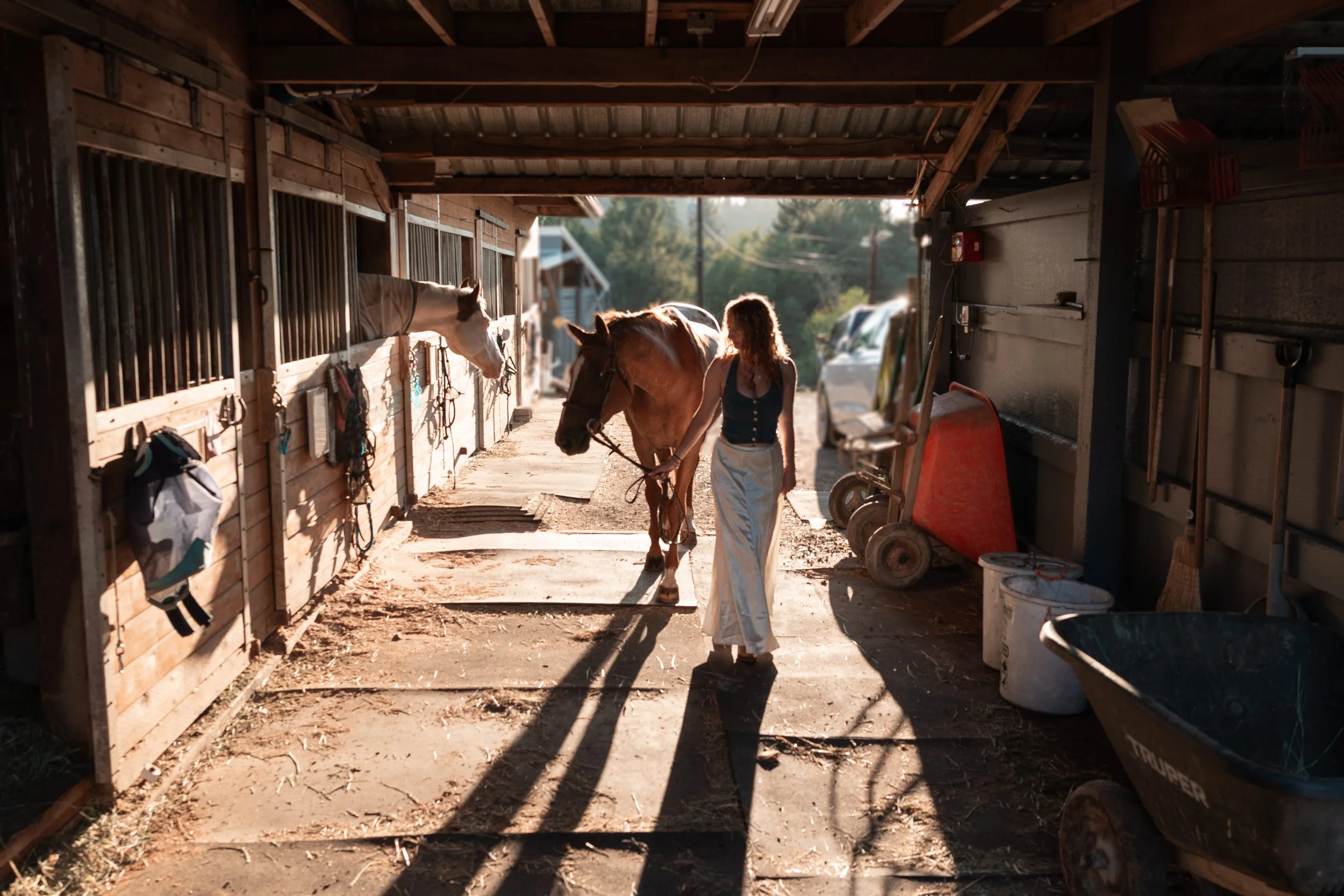 A girl leading a brown horse through a barn aisle with horses in stalls. Sunlight filters in, creating shadows on the ground.
