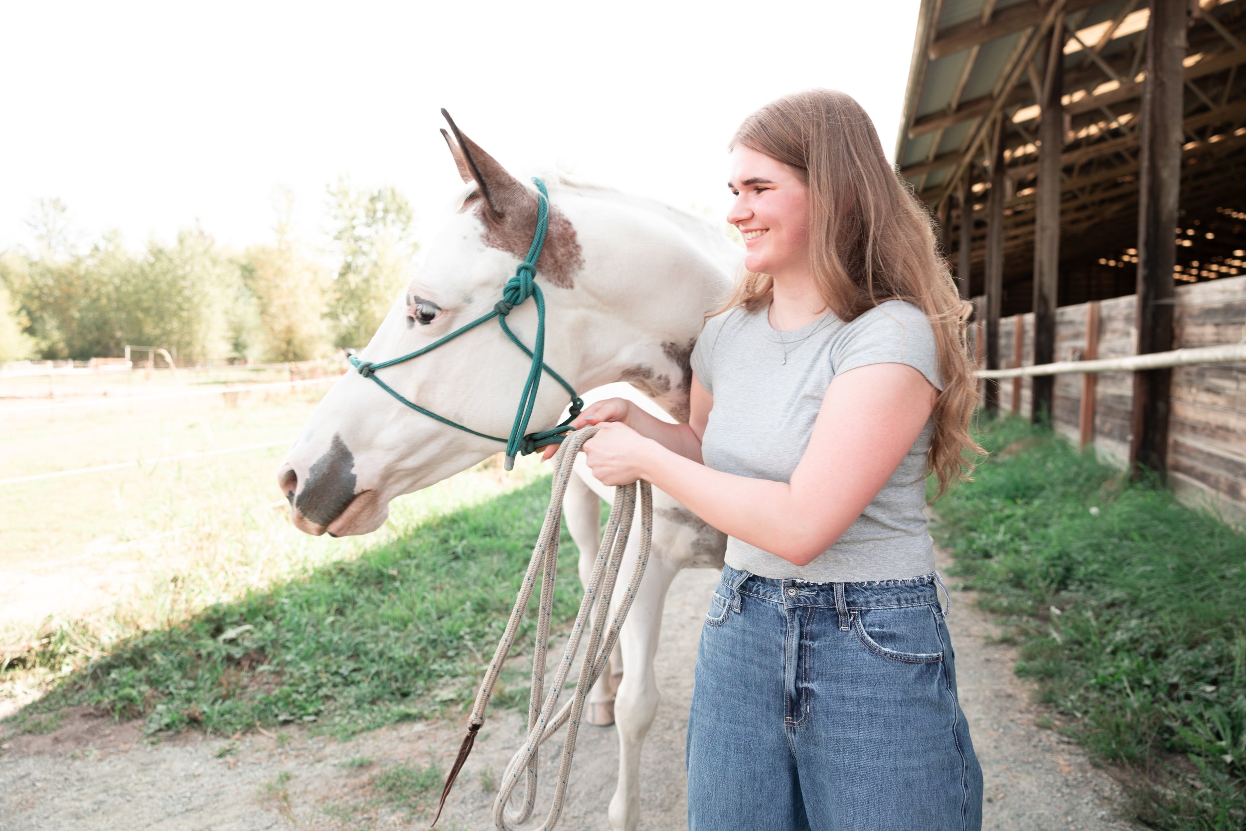 Snohomish high school senior girl with her horse looking into the distance and smiling. White horse and blond girl with gray shirt and jeans